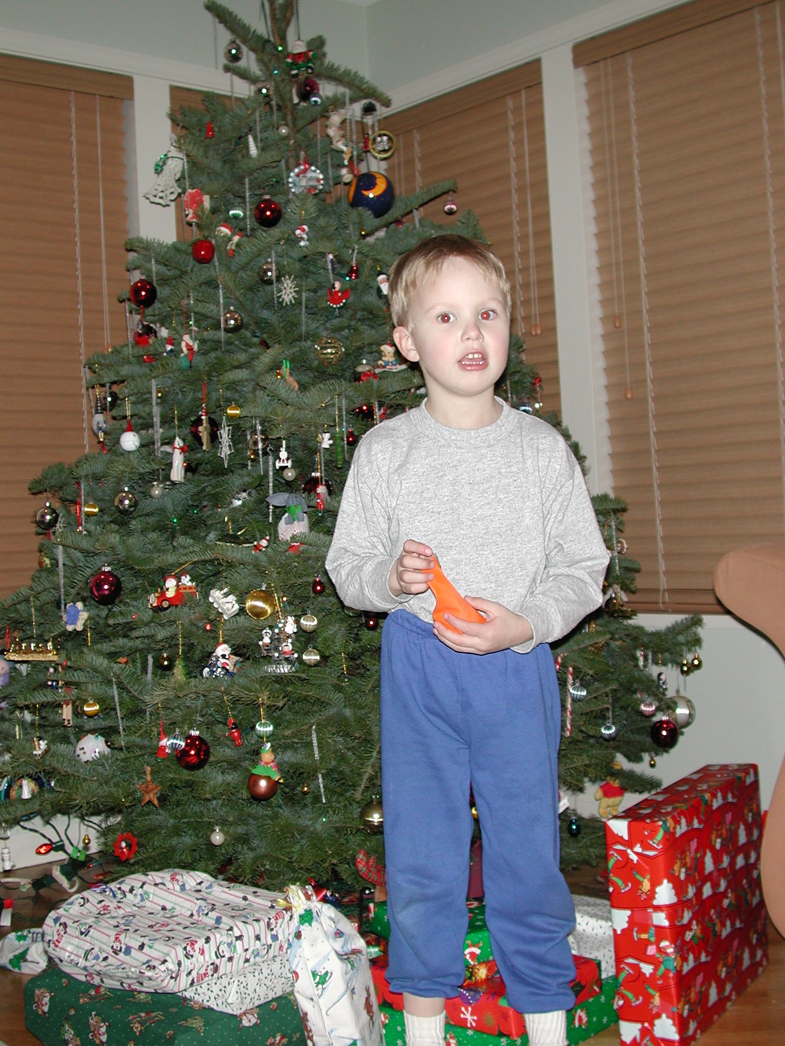 DSCN1214.JPG, 771324 bytes, 12/27/00