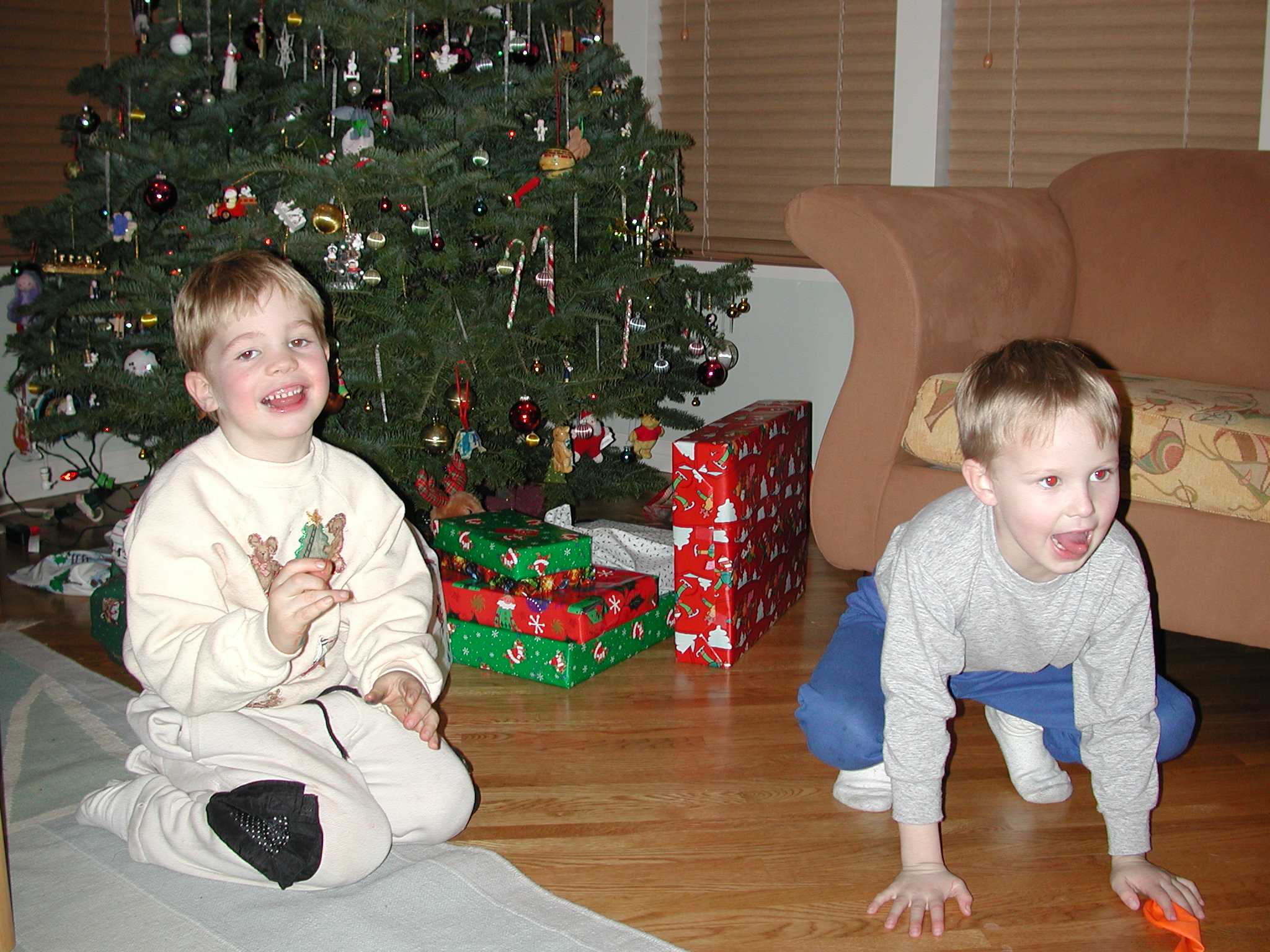 DSCN1216.JPG, 690355 bytes, 12/22/00