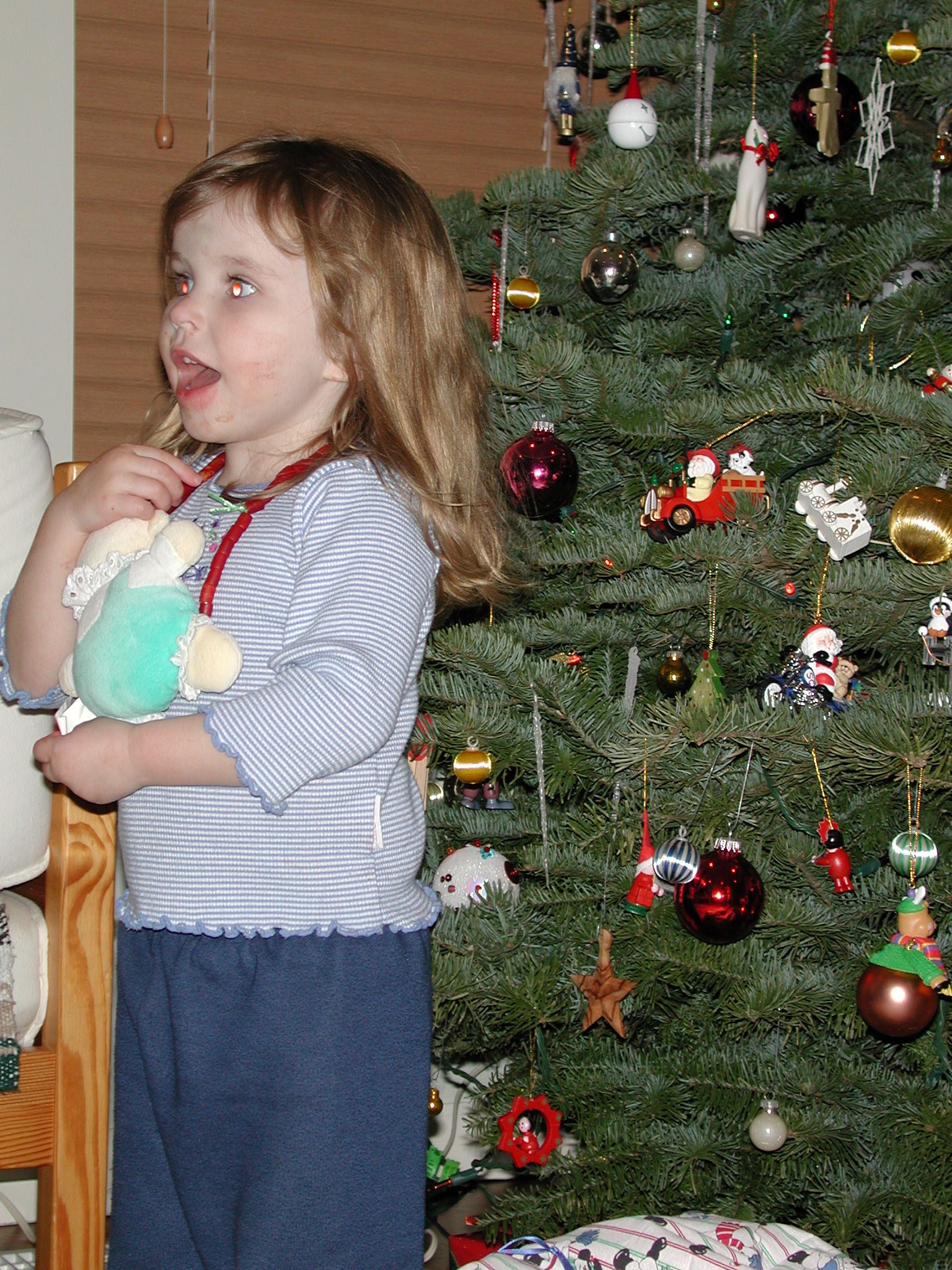 DSCN1217.JPG, 890081 bytes, 12/27/00