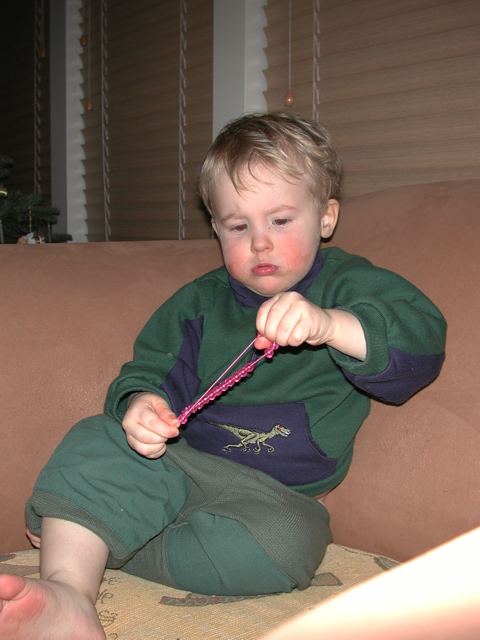 DSCN1223.JPG, 610016 bytes, 12/27/00