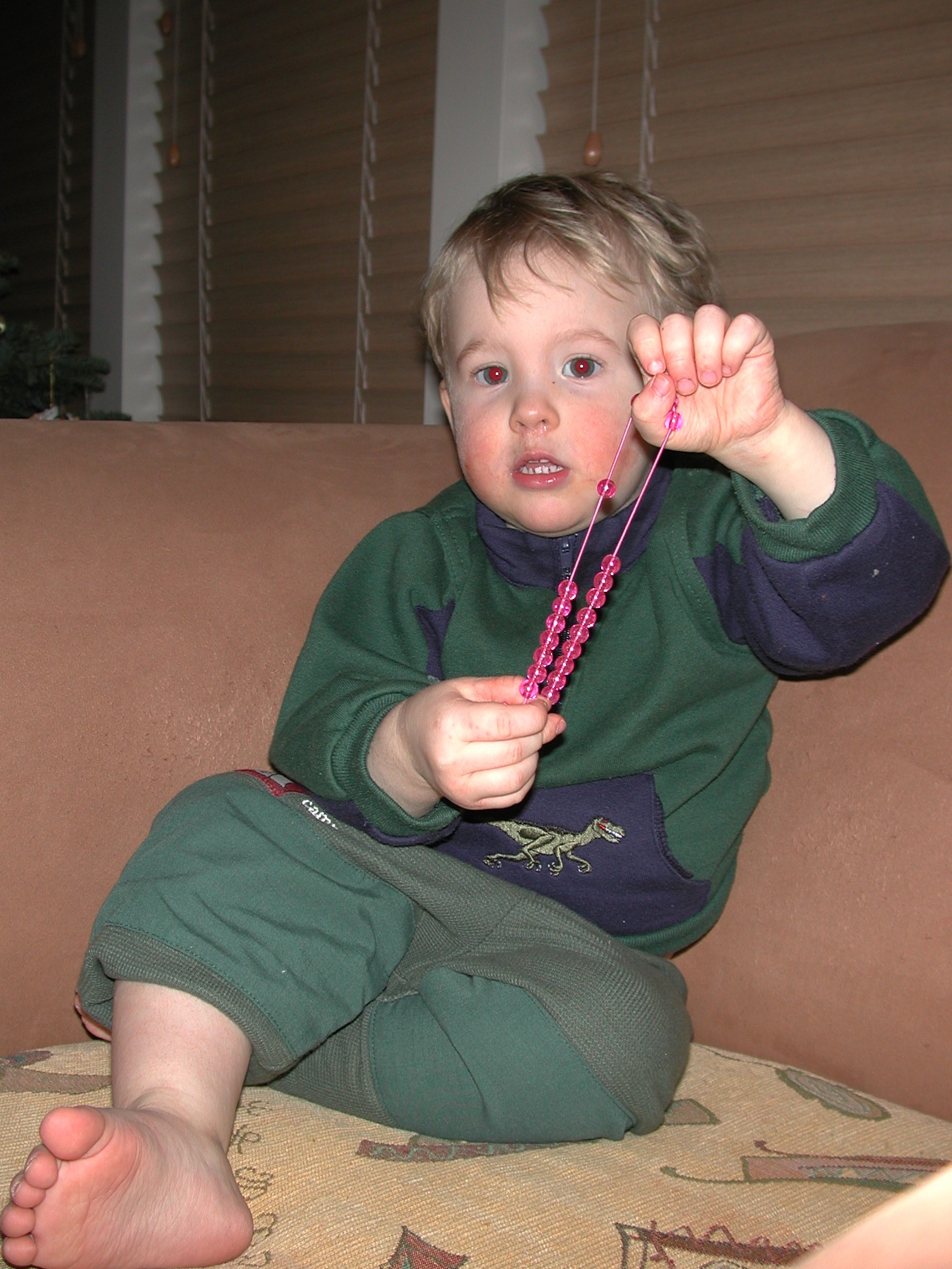 DSCN1224.JPG, 617316 bytes, 12/27/00