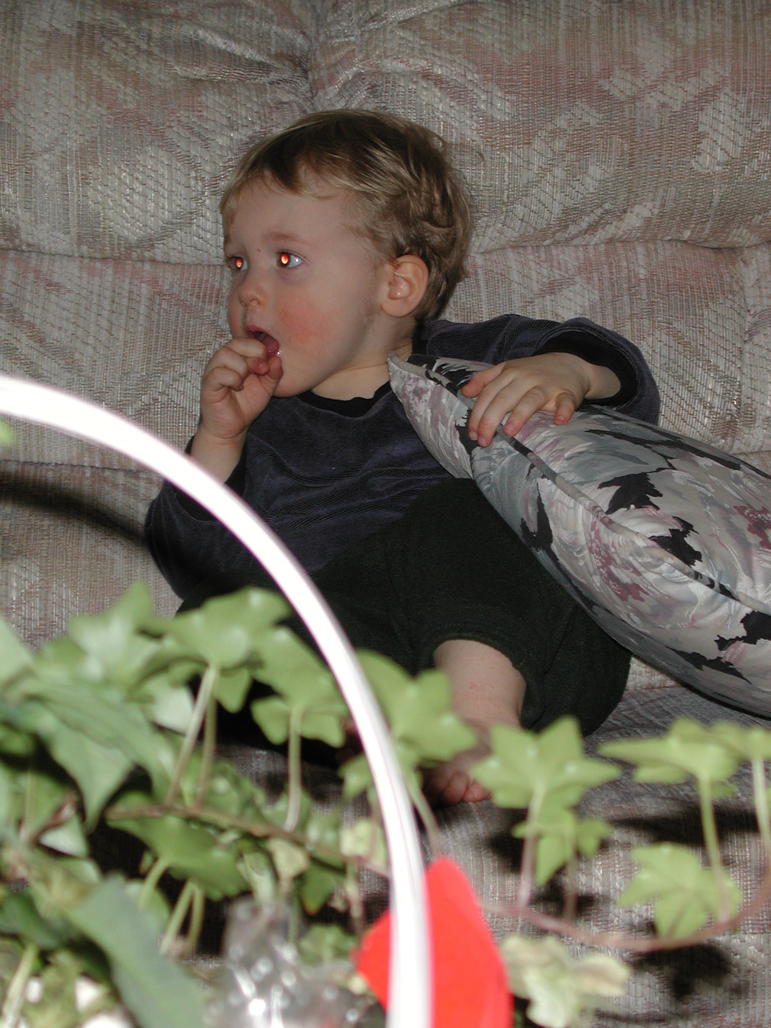 DSCN1256.JPG, 657795 bytes, 1/01/01