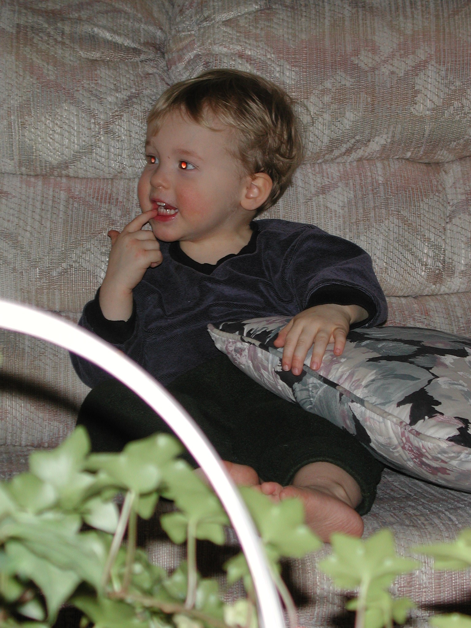 DSCN1257.JPG, 665706 bytes, 12/27/00