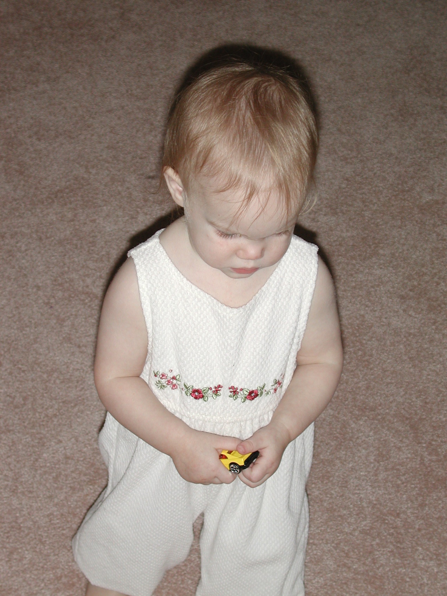 DSCN1259.JPG, 617272 bytes, 1/01/01