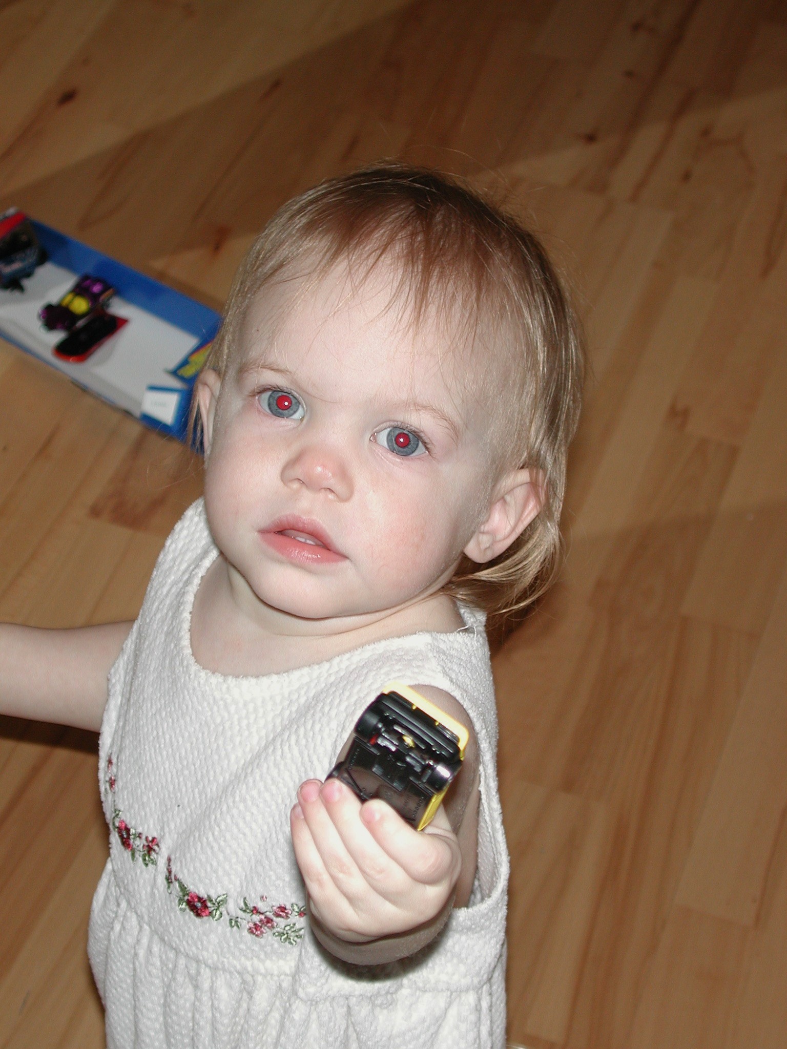 DSCN1261.JPG, 585993 bytes, 1/01/01