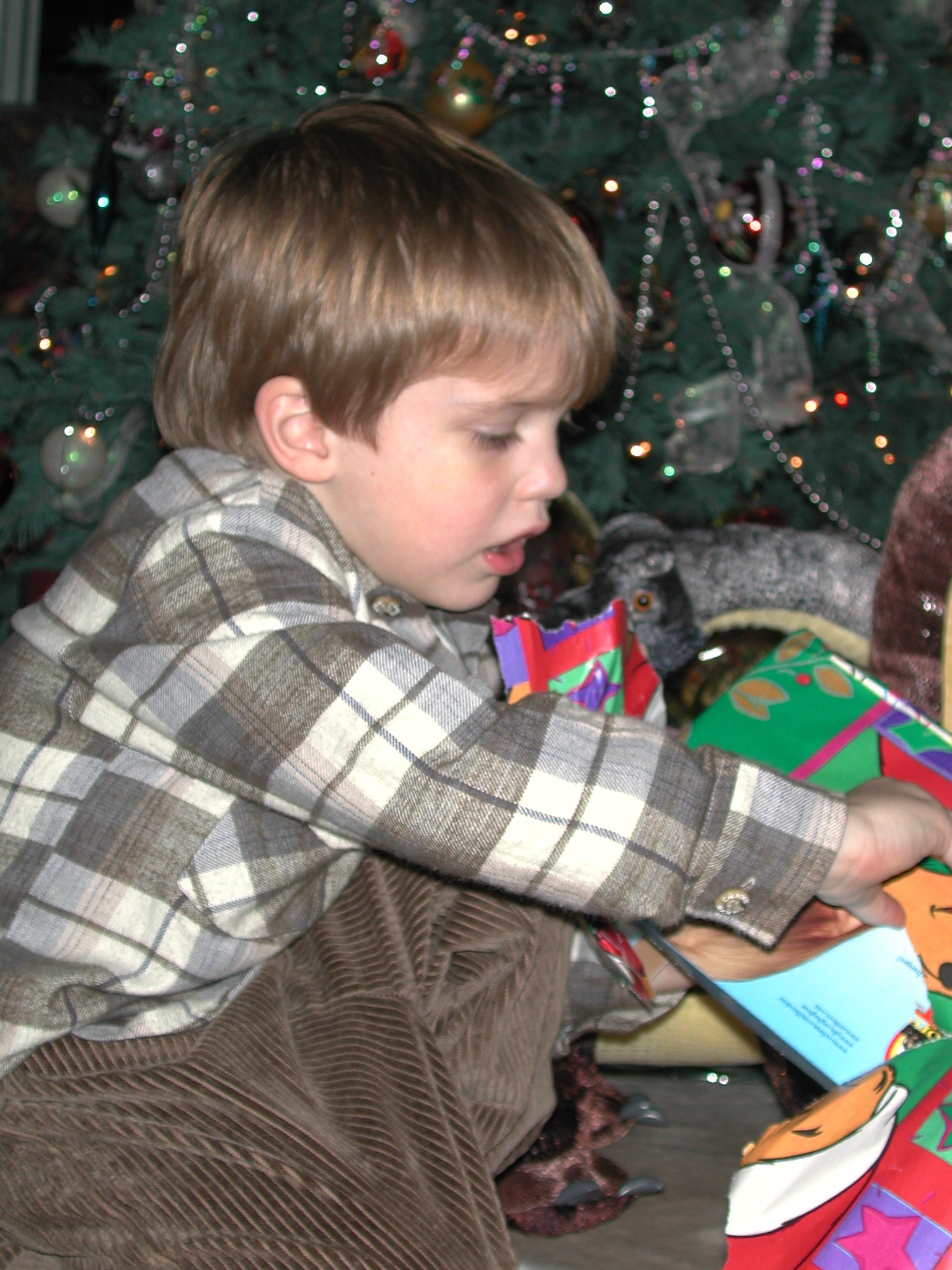 DSCN1347.JPG, 627780 bytes, 2/01/01