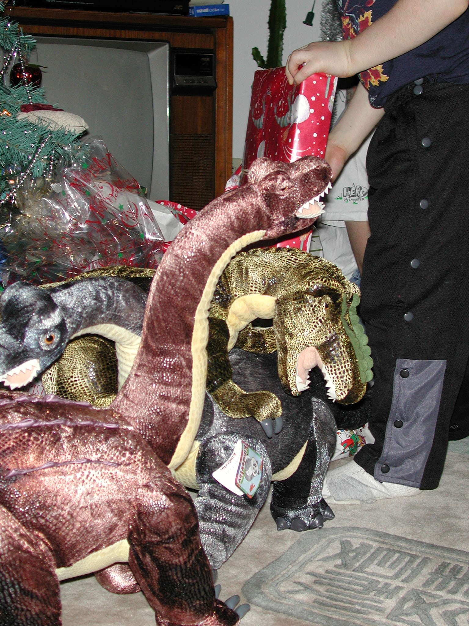 DSCN1348.JPG, 871603 bytes, 2/01/01