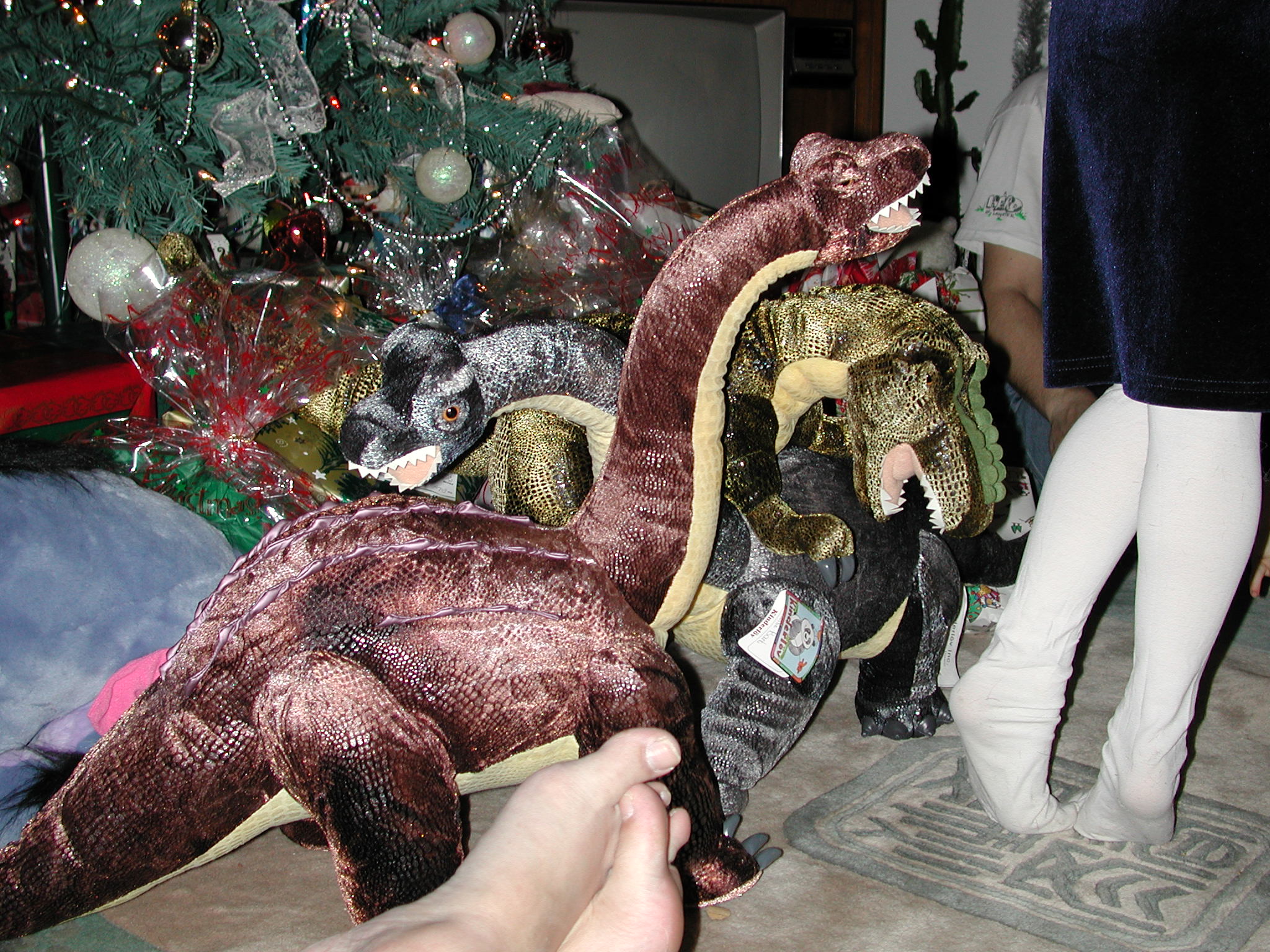 DSCN1349.JPG, 710589 bytes, 12/26/00