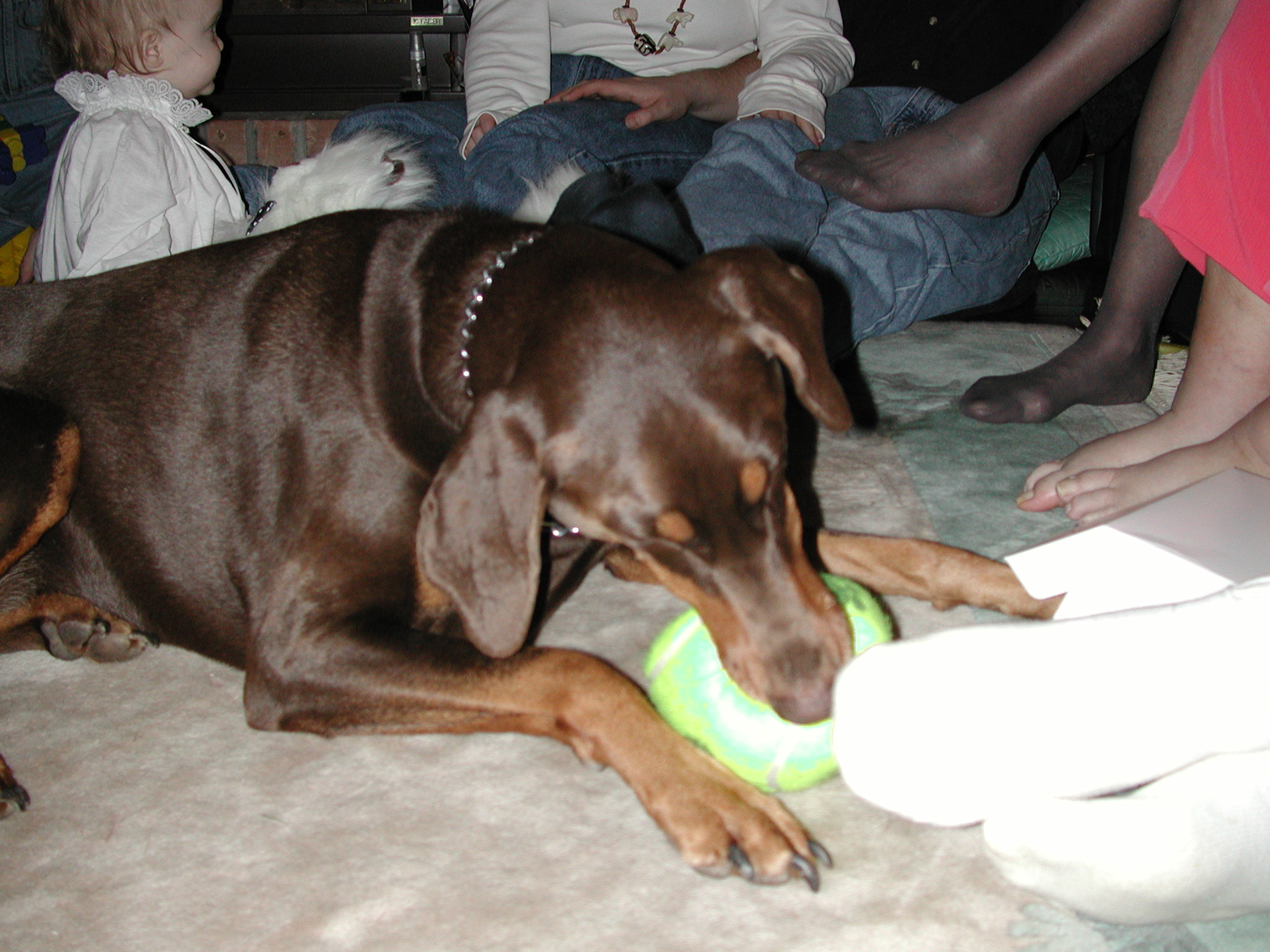 DSCN1367.JPG, 700445 bytes, 12/26/00