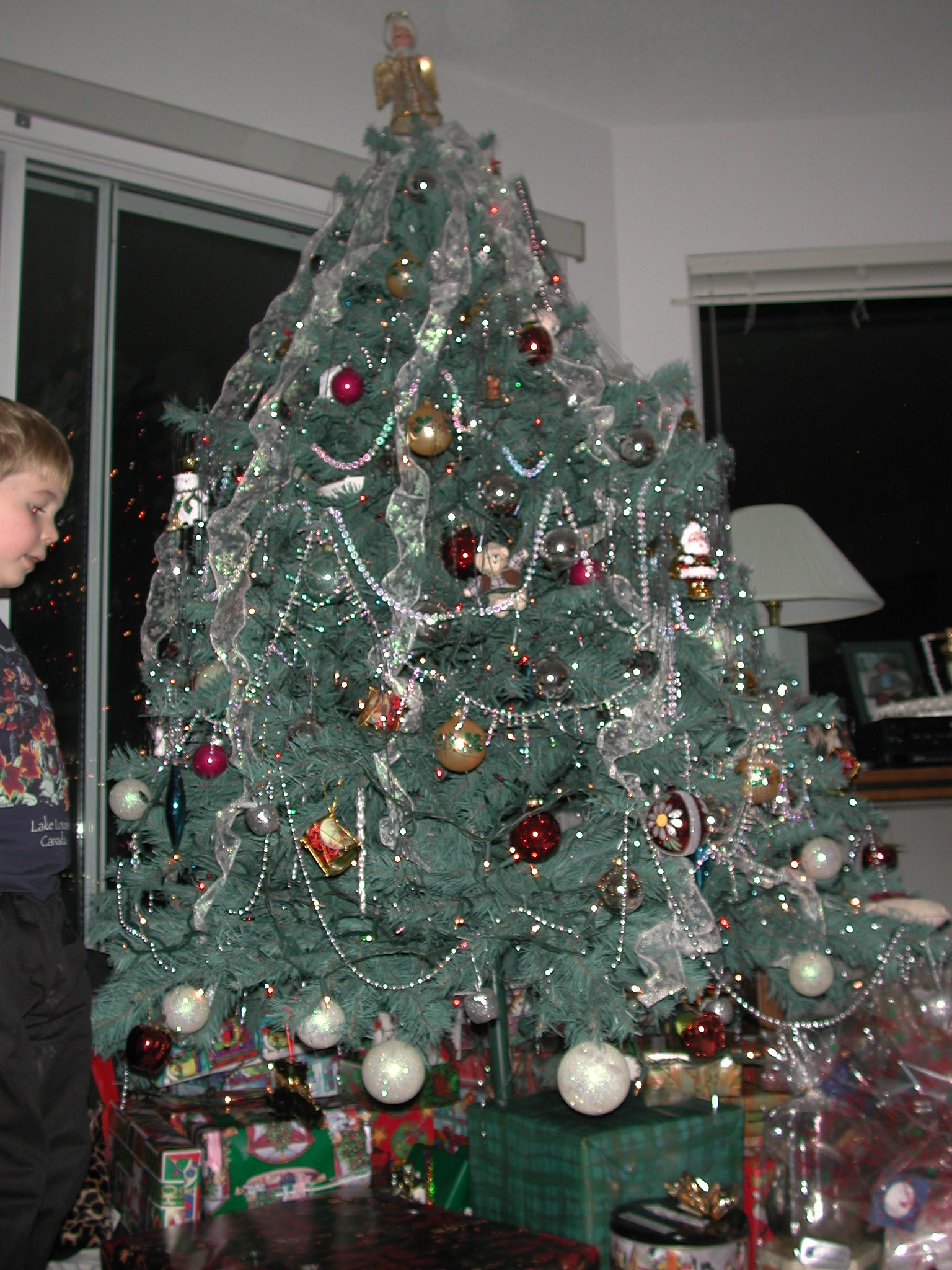 DSCN1369.JPG, 675071 bytes, 2/01/01