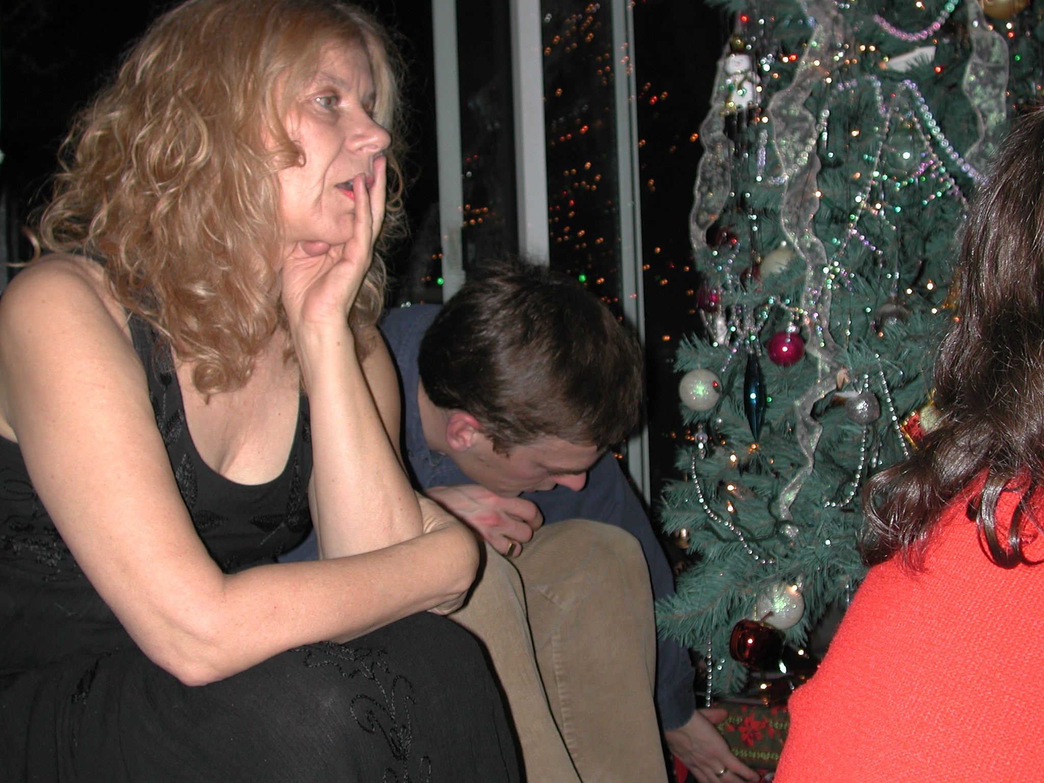 DSCN1371.JPG, 645236 bytes, 12/26/00