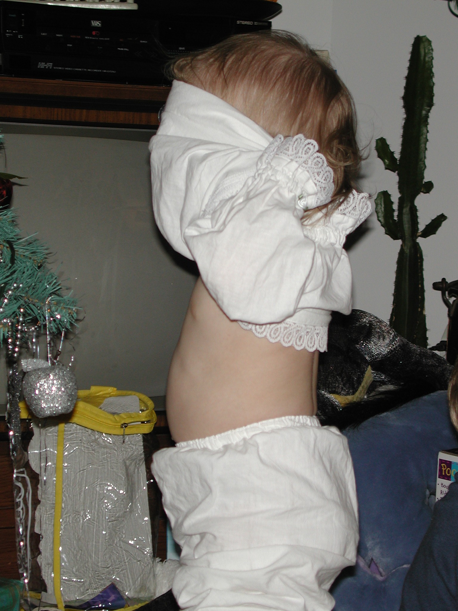 DSCN1373.JPG, 578532 bytes, 2/01/01