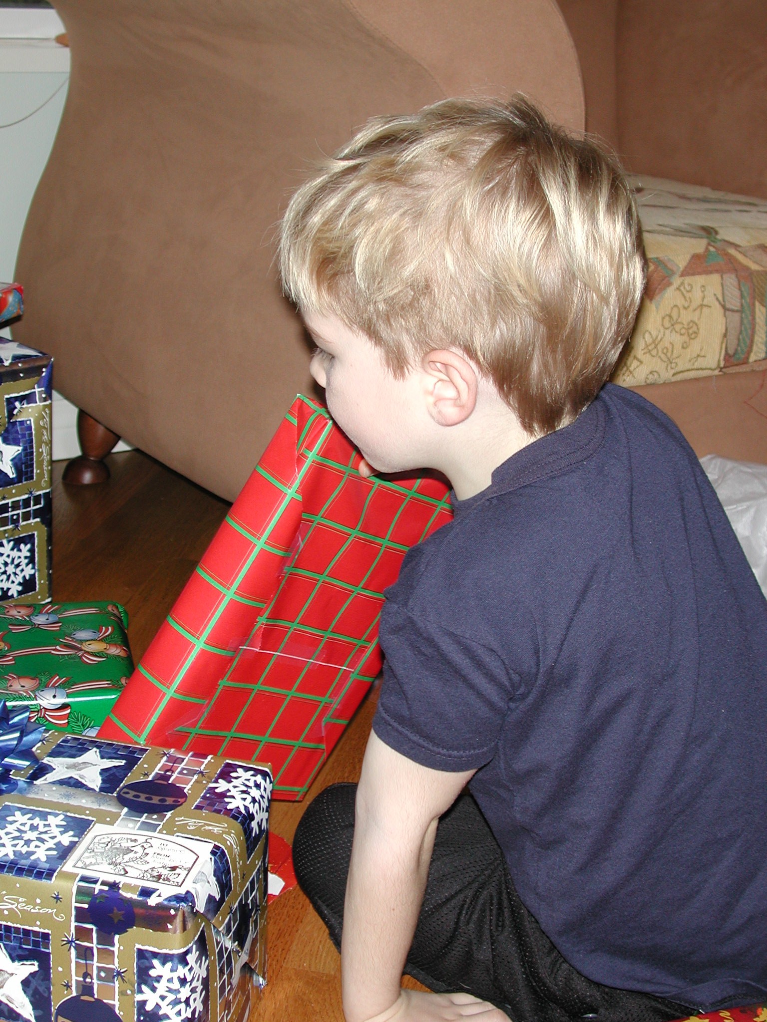 DSCN1335.JPG, 748120 bytes, 2/01/01