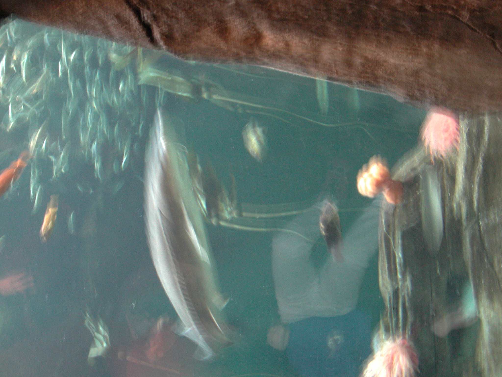 DSCN1095.JPG, 778605 bytes, 12/03/00