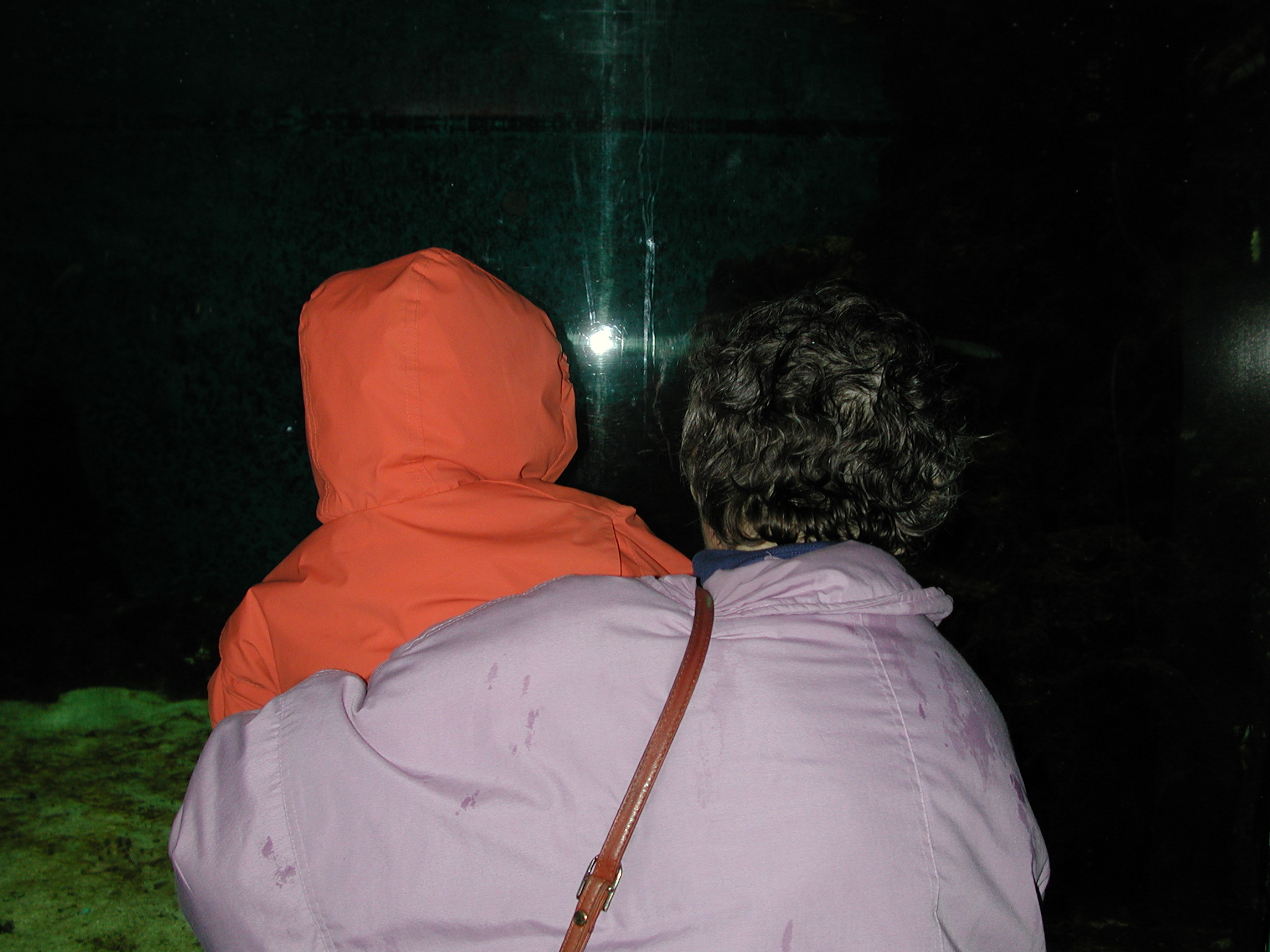 DSCN1098.JPG, 596560 bytes, 12/03/00