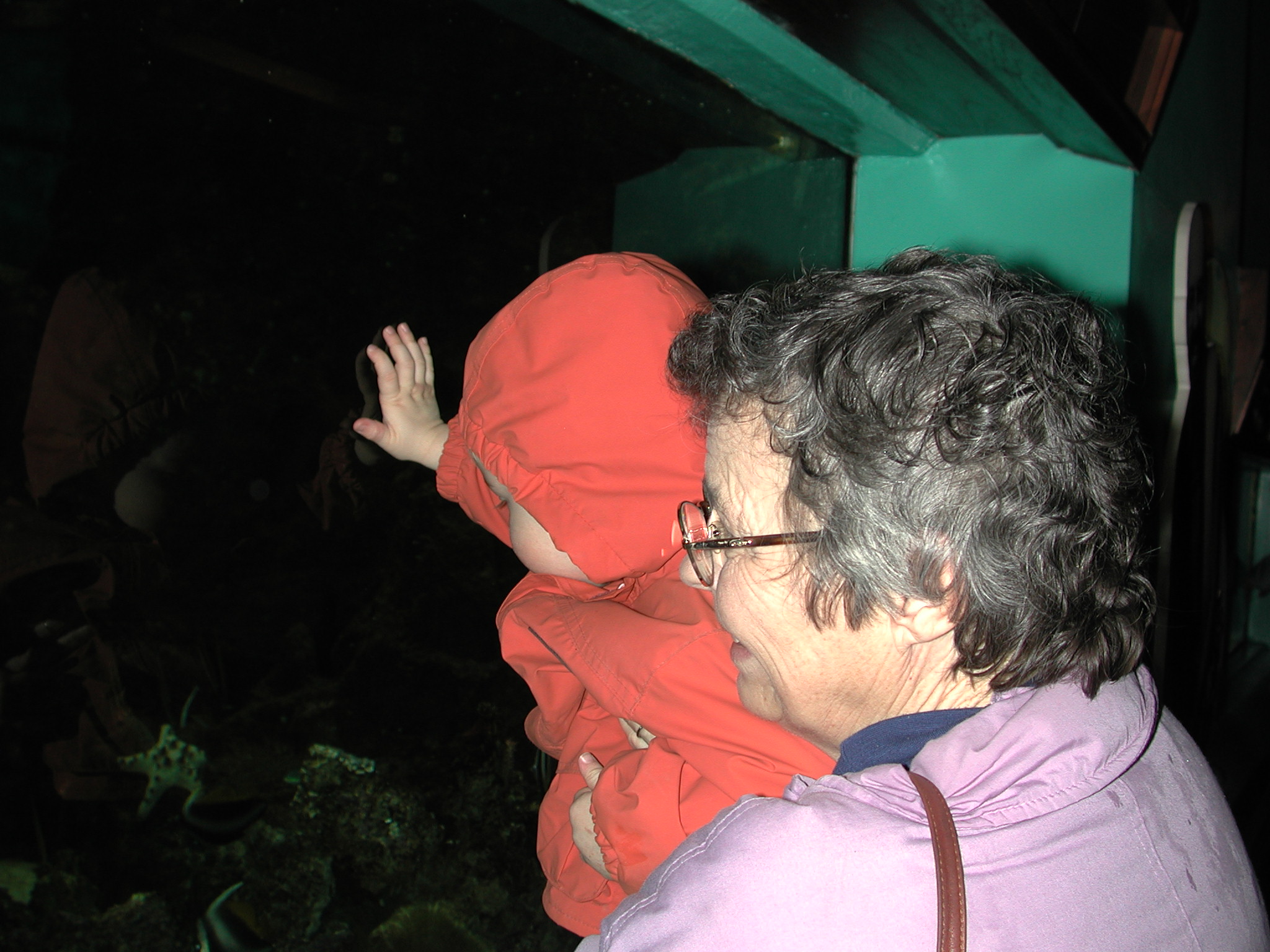 DSCN1100.JPG, 578348 bytes, 12/03/00