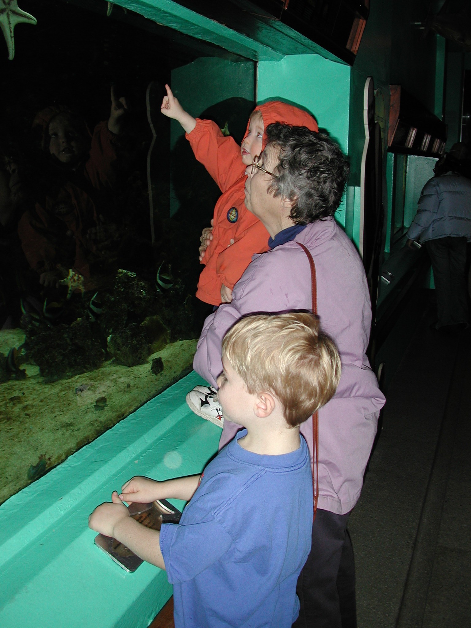 DSCN1101.JPG, 550096 bytes, 2/01/01