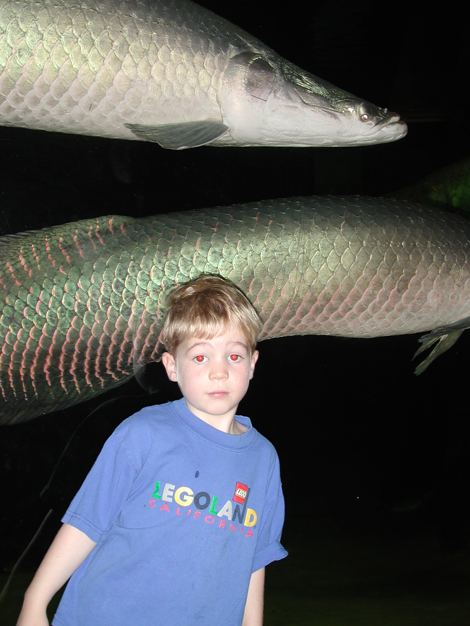 DSCN1104.JPG, 559026 bytes, 2/01/01