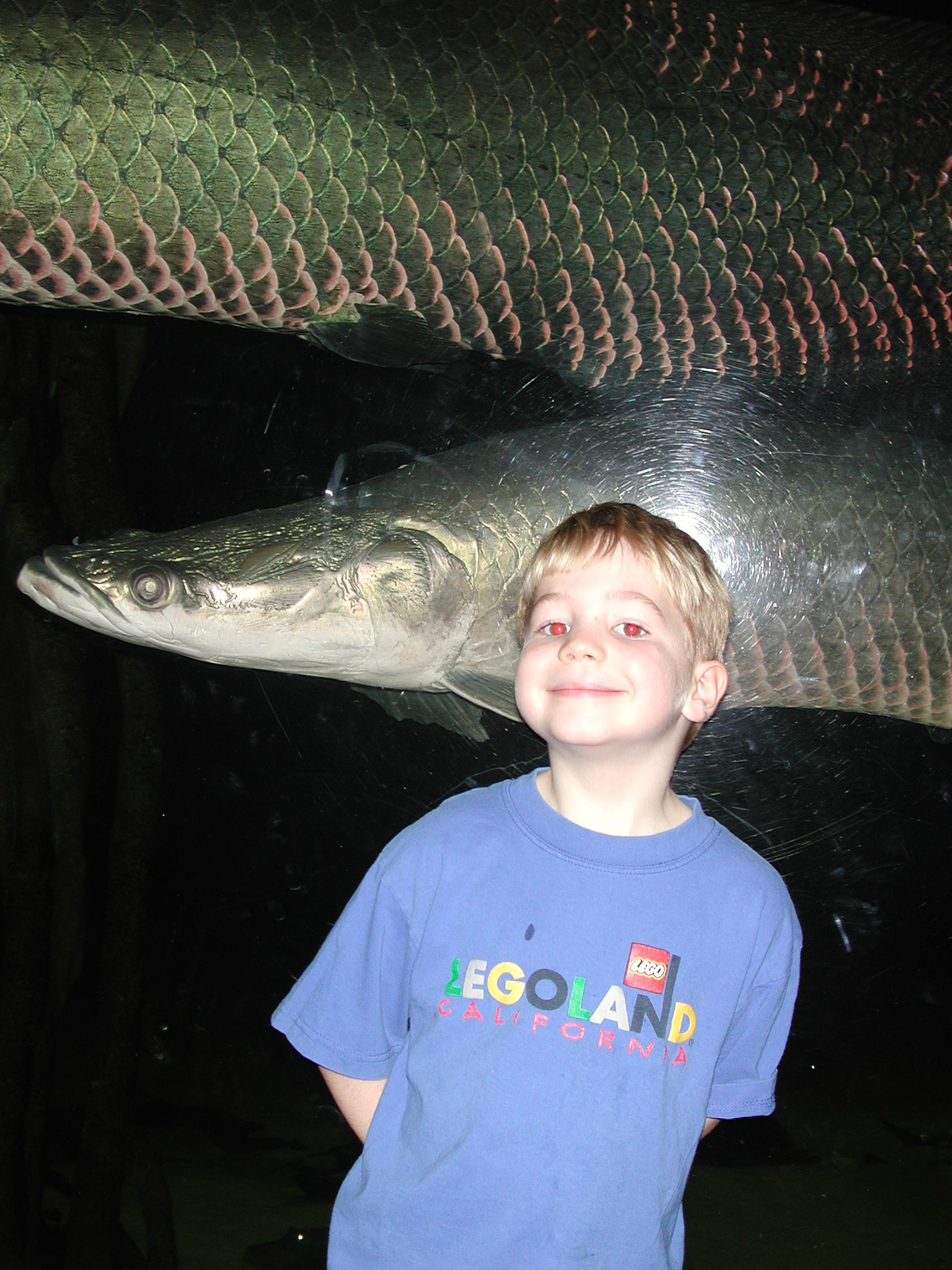 DSCN1105.JPG, 642500 bytes, 2/01/01