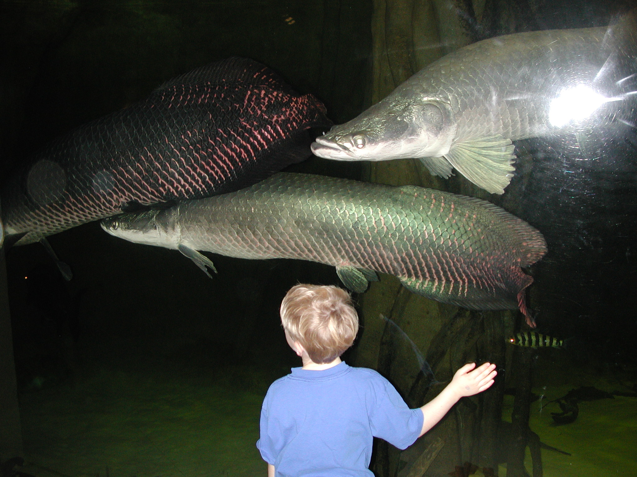 DSCN1107.JPG, 712456 bytes, 12/03/00