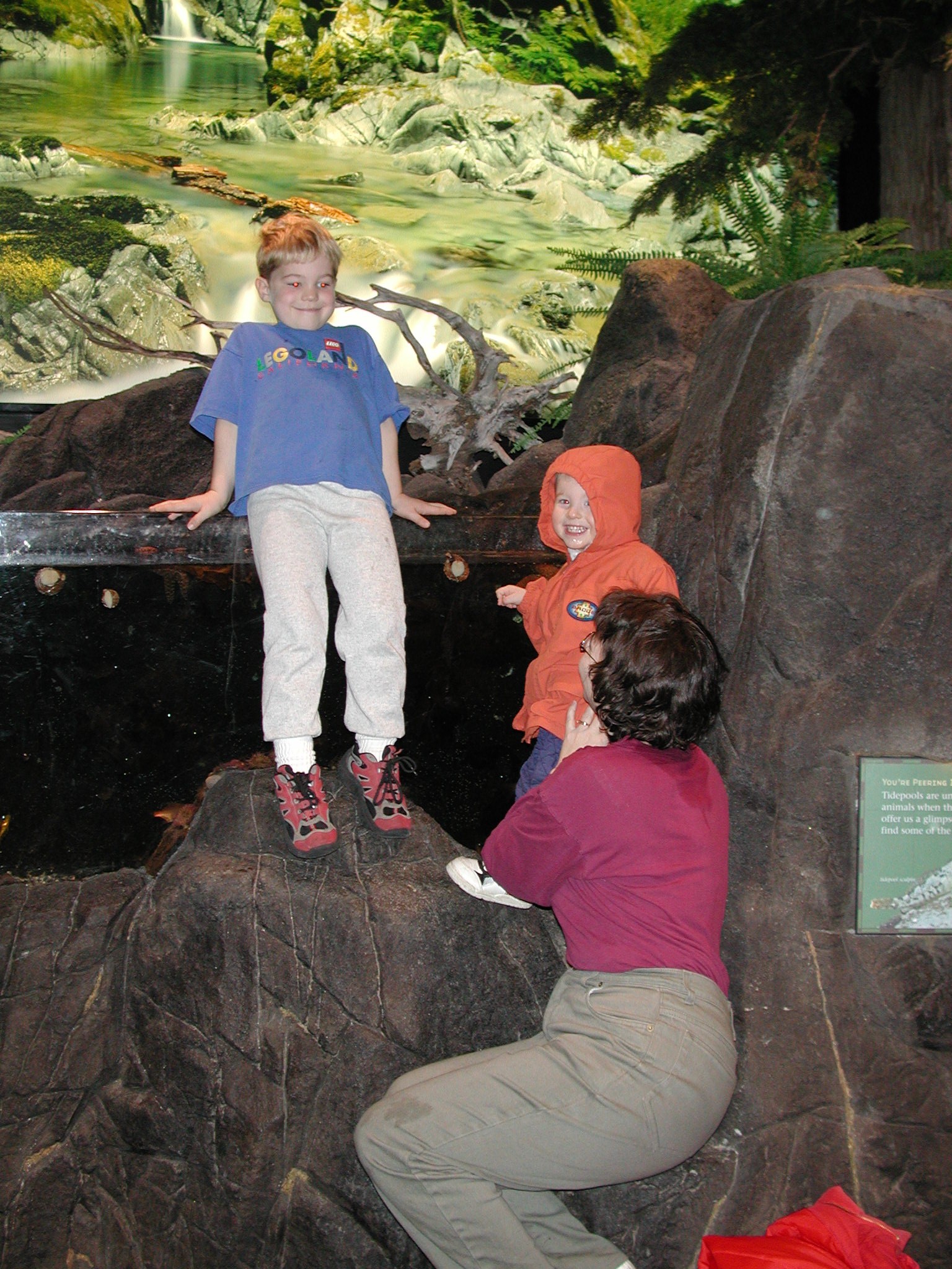 DSCN1109.JPG, 794301 bytes, 2/01/01