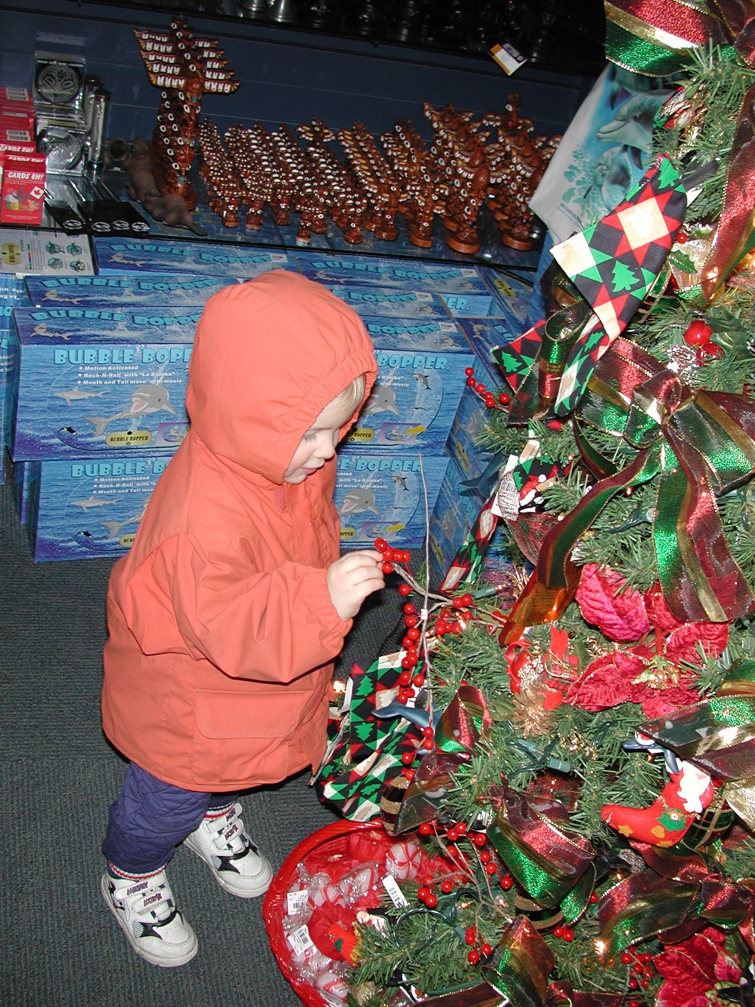 DSCN1111.JPG, 982386 bytes, 2/01/01