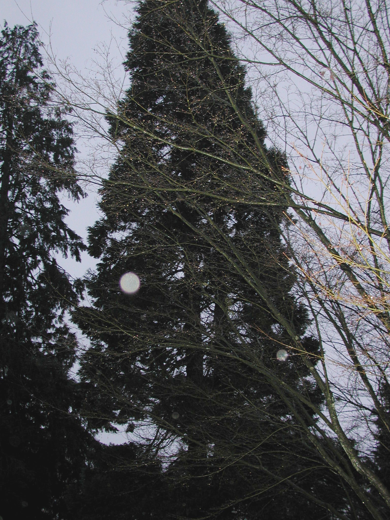 DSCN1380.JPG, 912433 bytes, 1/01/01