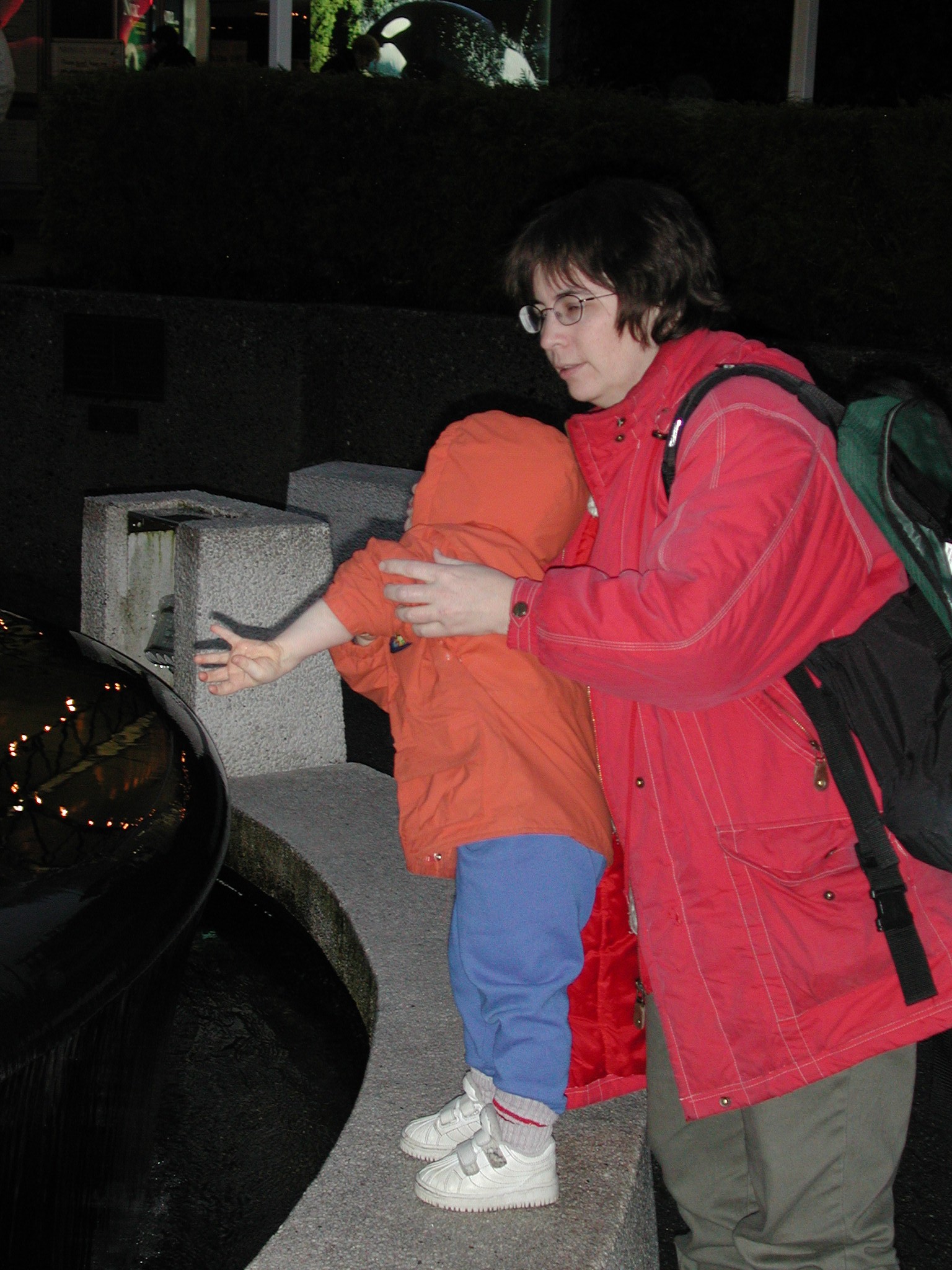 DSCN1383.JPG, 603450 bytes, 1/01/01