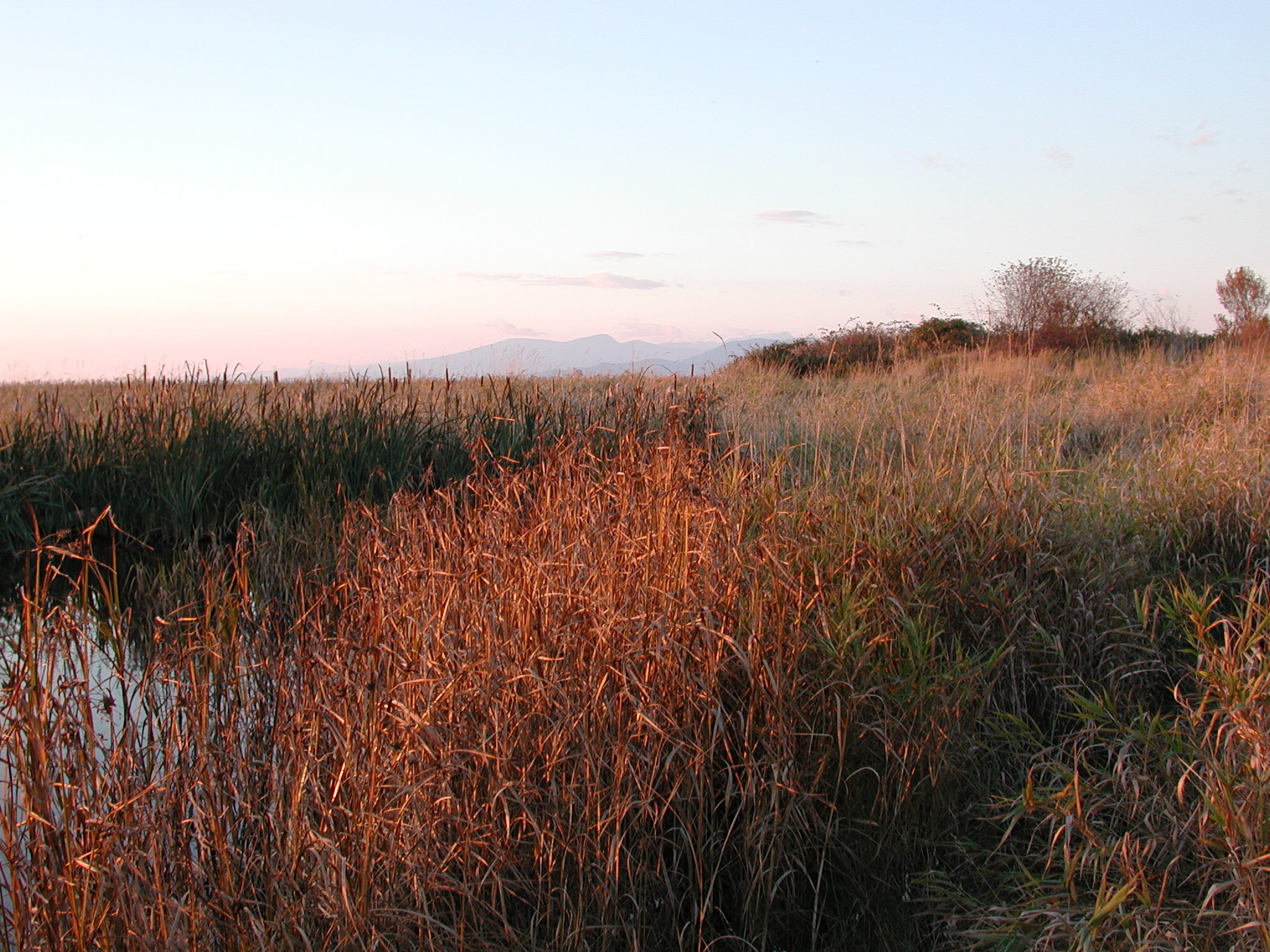 DSCN1031.JPG, 675131 bytes, 11/10/00