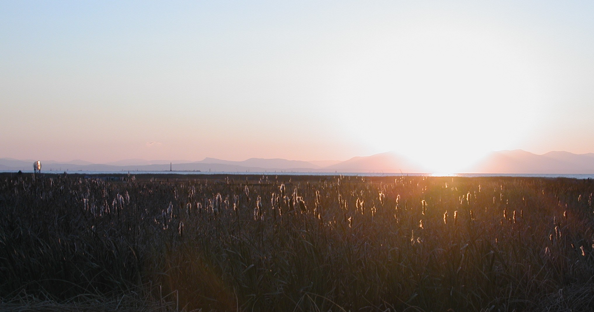 DSCN1035-Crop-1.JPG, 323237 bytes, 11/19/00