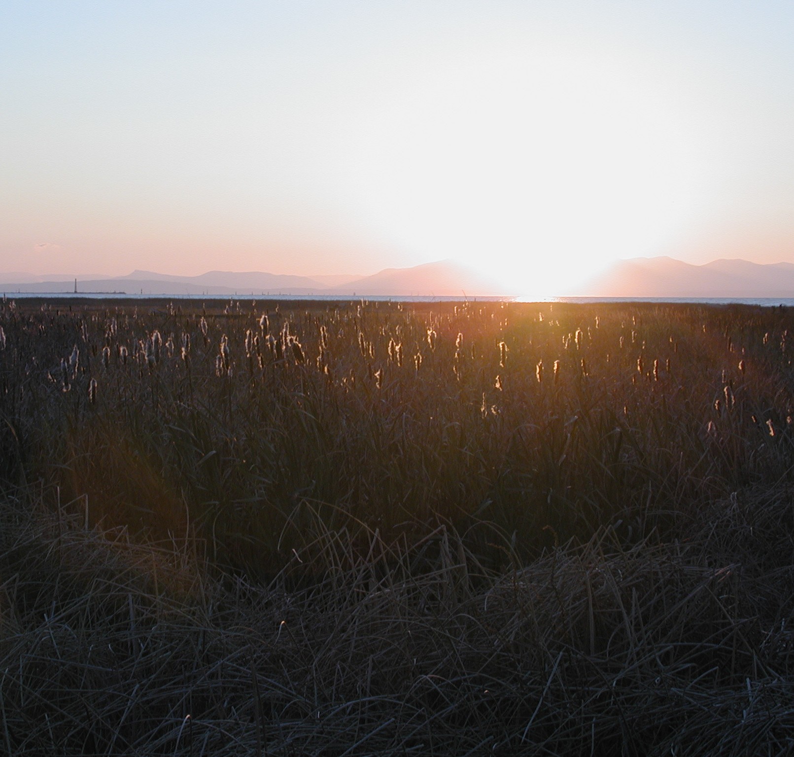 DSCN1035-Crop-2.JPG, 414100 bytes, 11/19/00