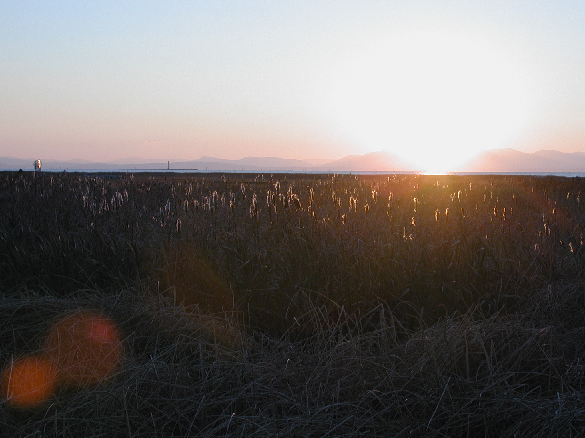 DSCN1035.JPG, 627275 bytes, 11/10/00