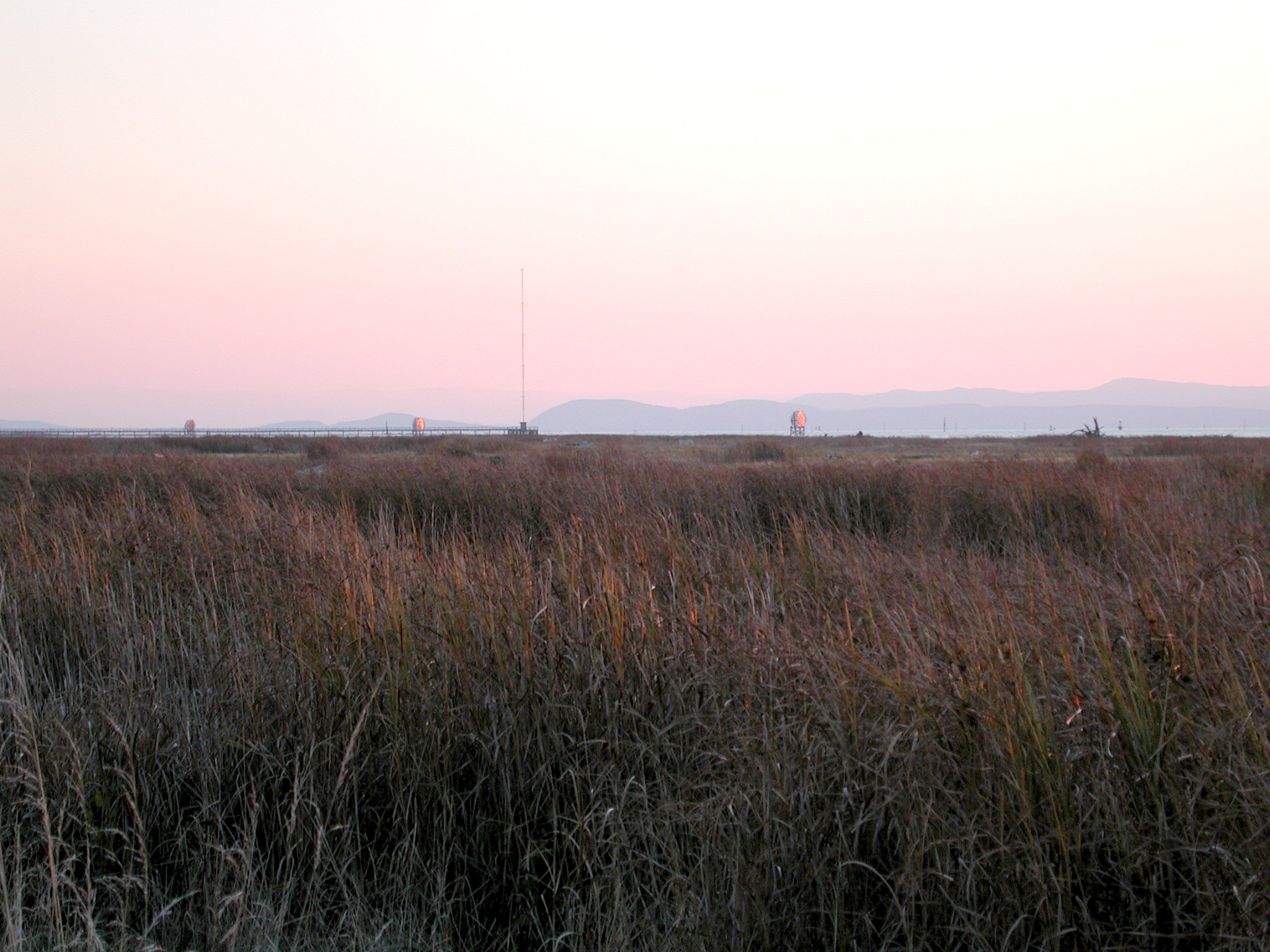 DSCN1041.JPG, 609268 bytes, 1/31/01