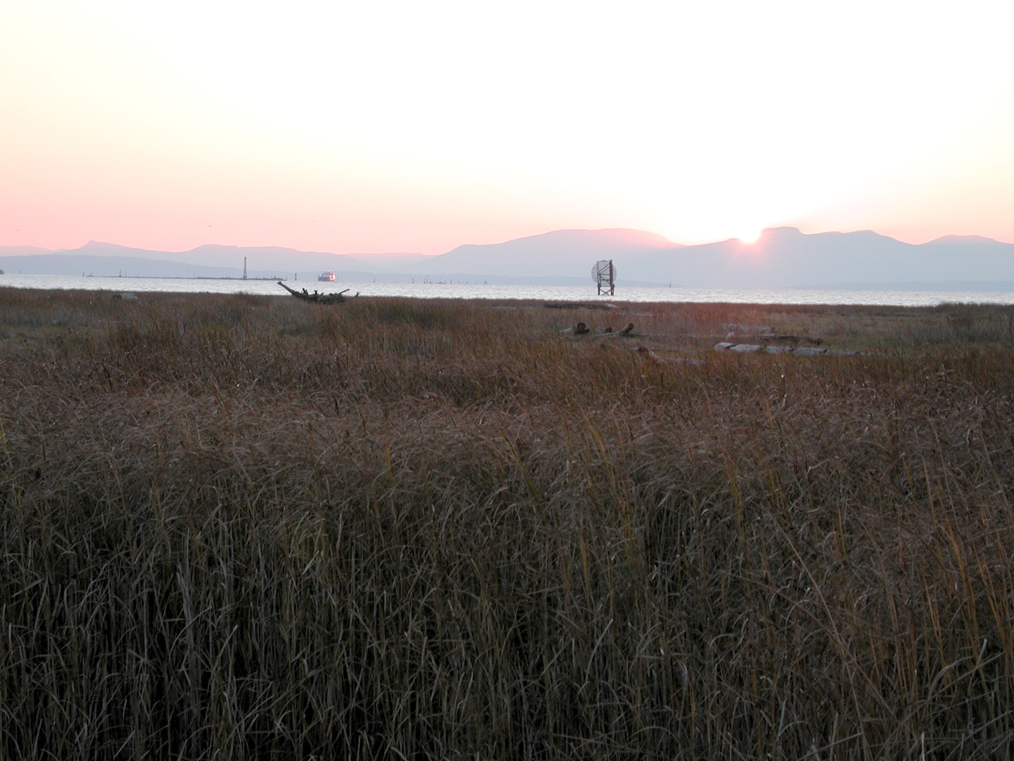 DSCN1042.JPG, 580562 bytes, 1/31/01