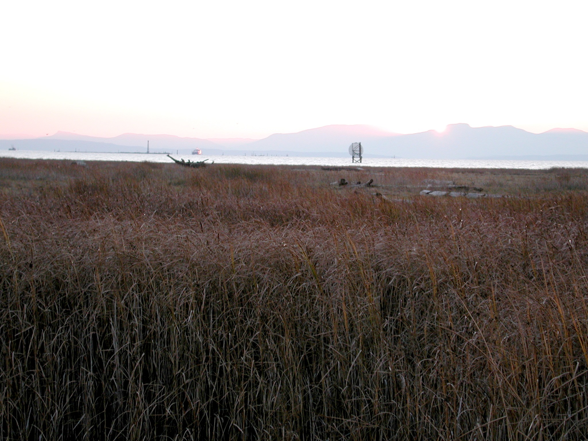 DSCN1043.JPG, 653315 bytes, 1/31/01