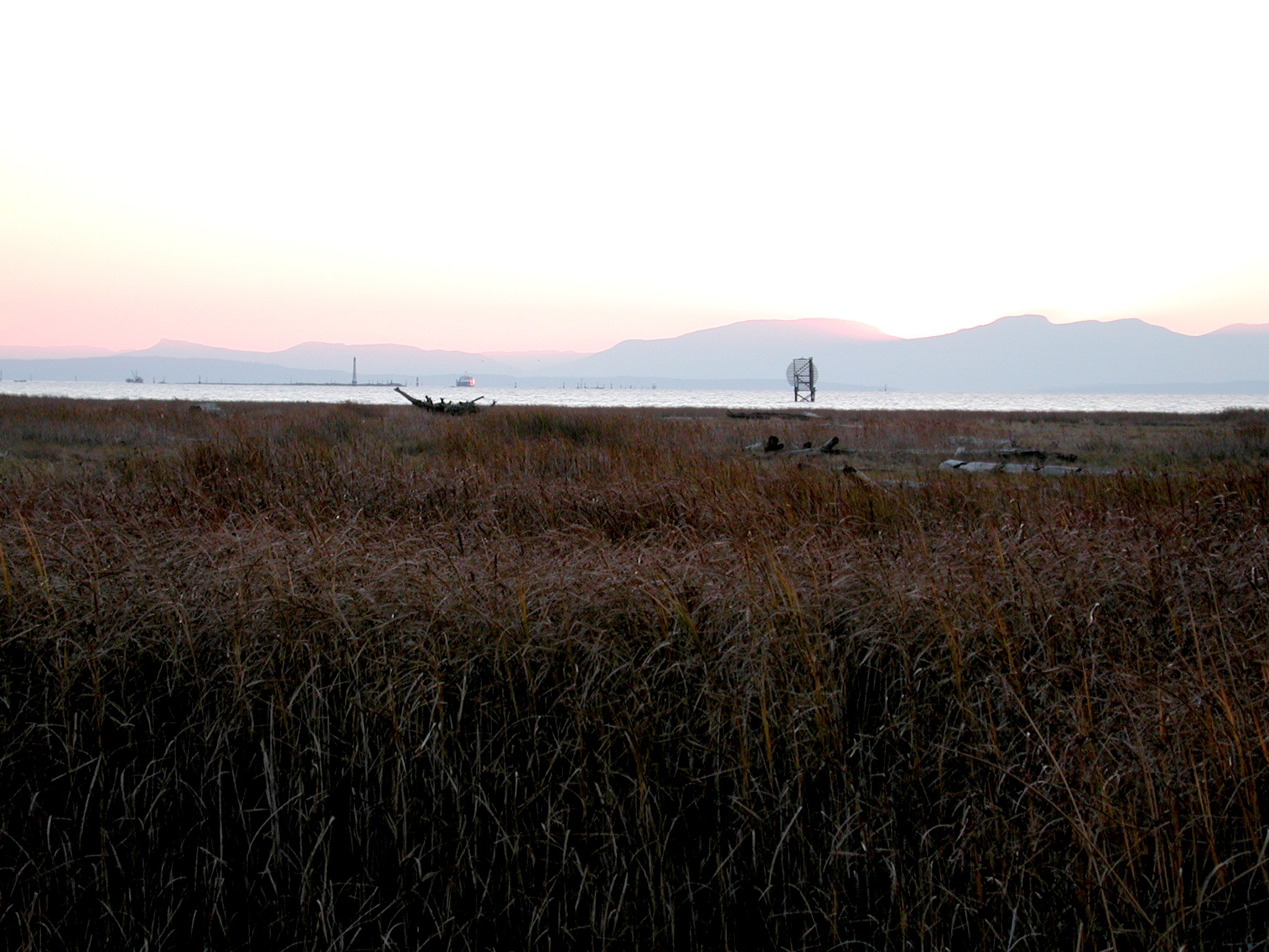 DSCN1044.JPG, 598287 bytes, 1/31/01