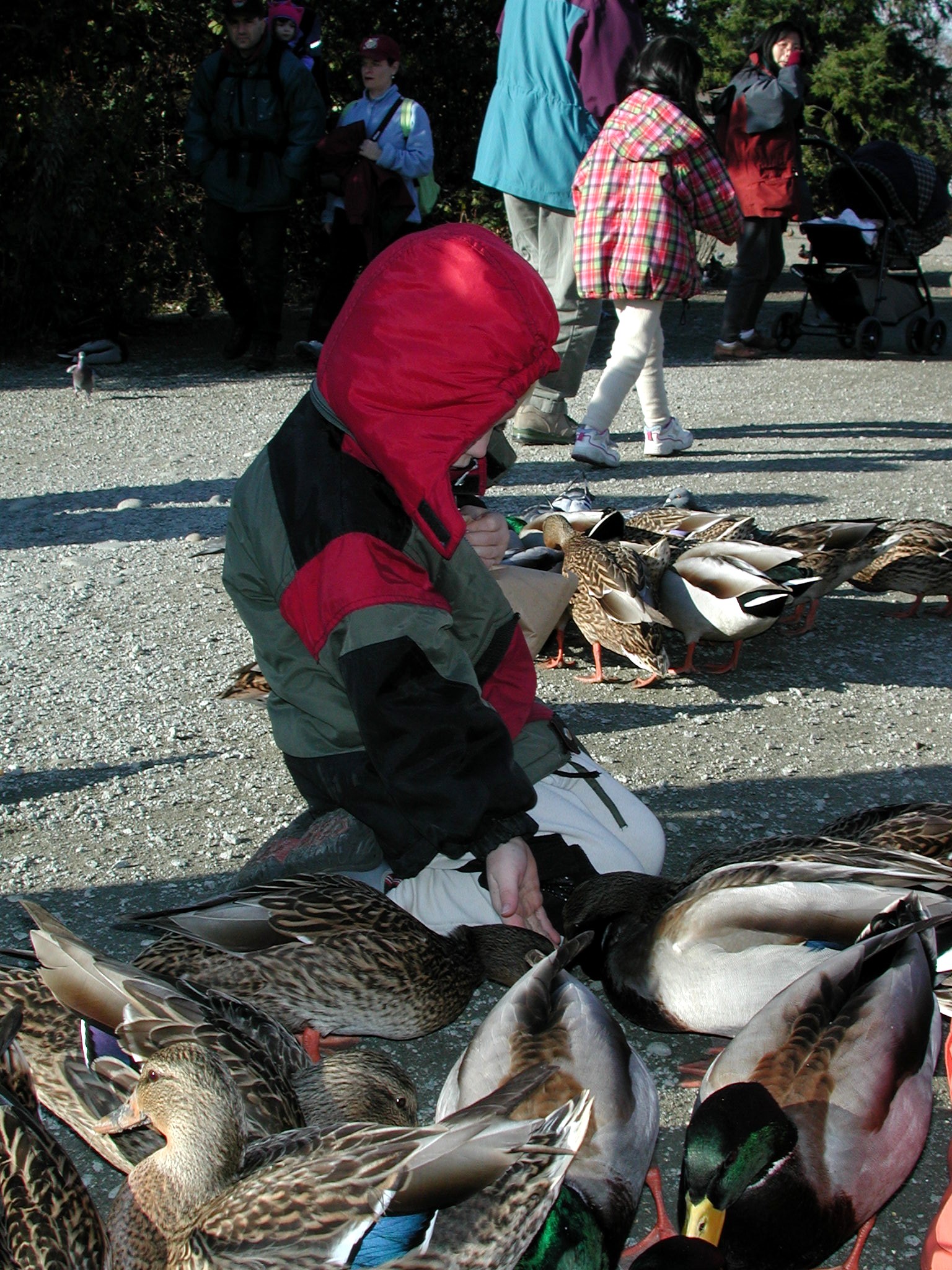 DSCN1051.JPG, 837331 bytes, 1/31/01