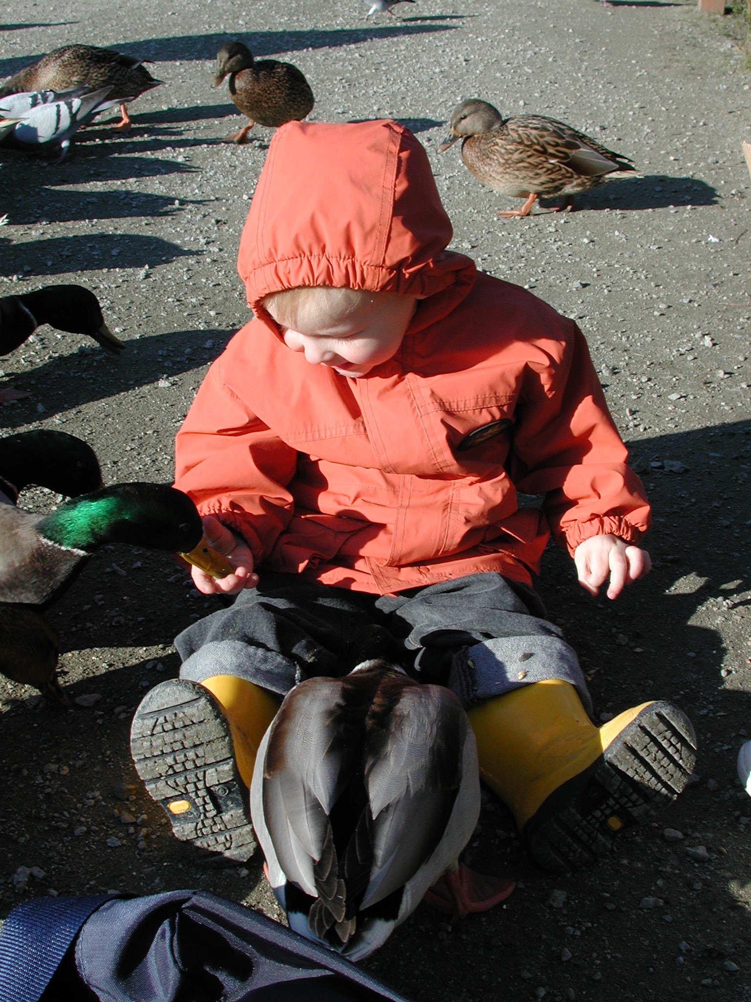 DSCN1052.JPG, 770307 bytes, 11/19/00