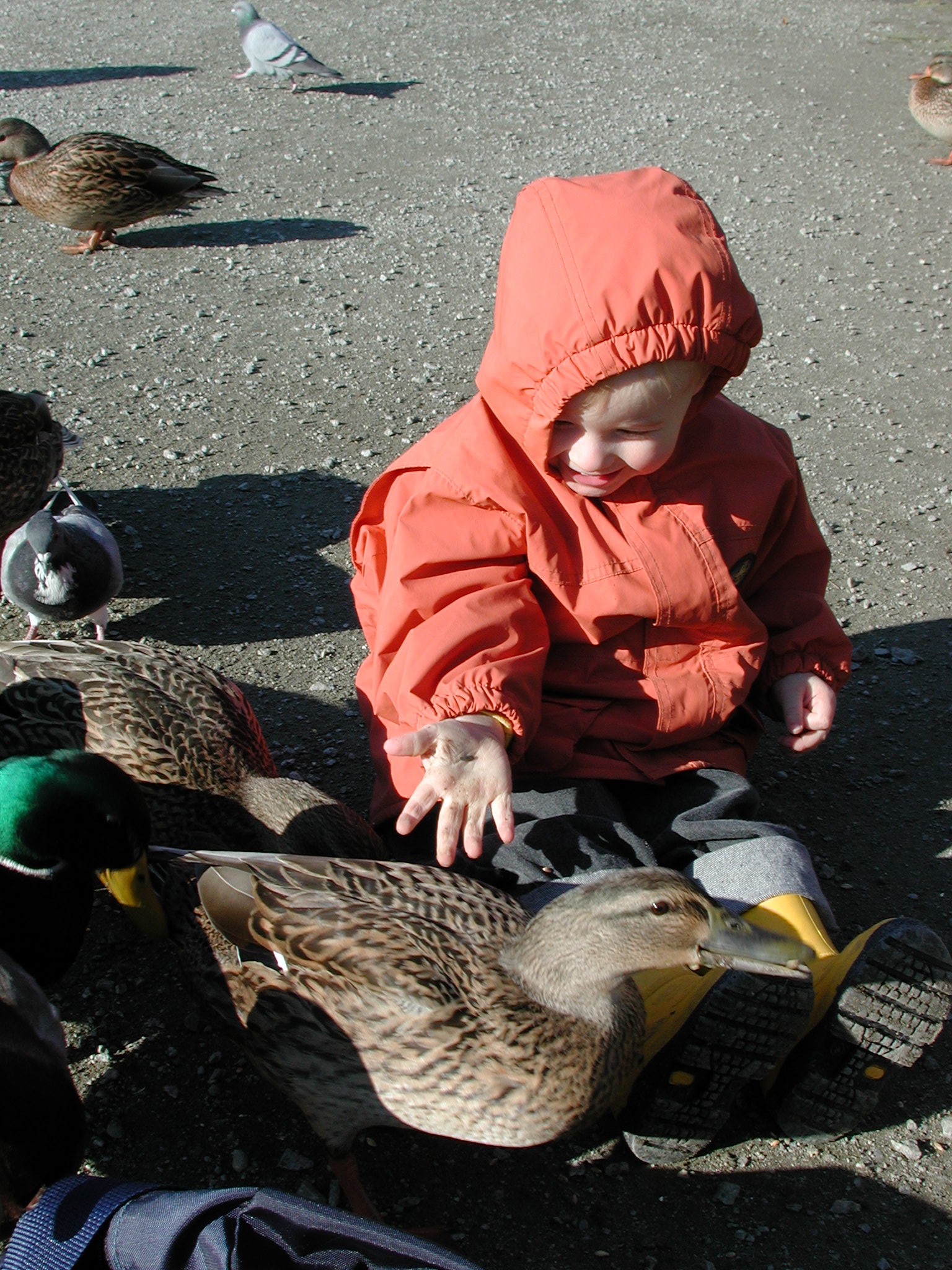 DSCN1053.JPG, 796471 bytes, 11/19/00