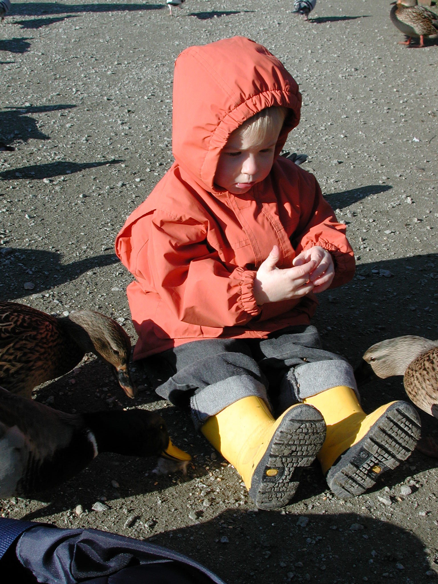 DSCN1054.JPG, 818802 bytes, 11/19/00