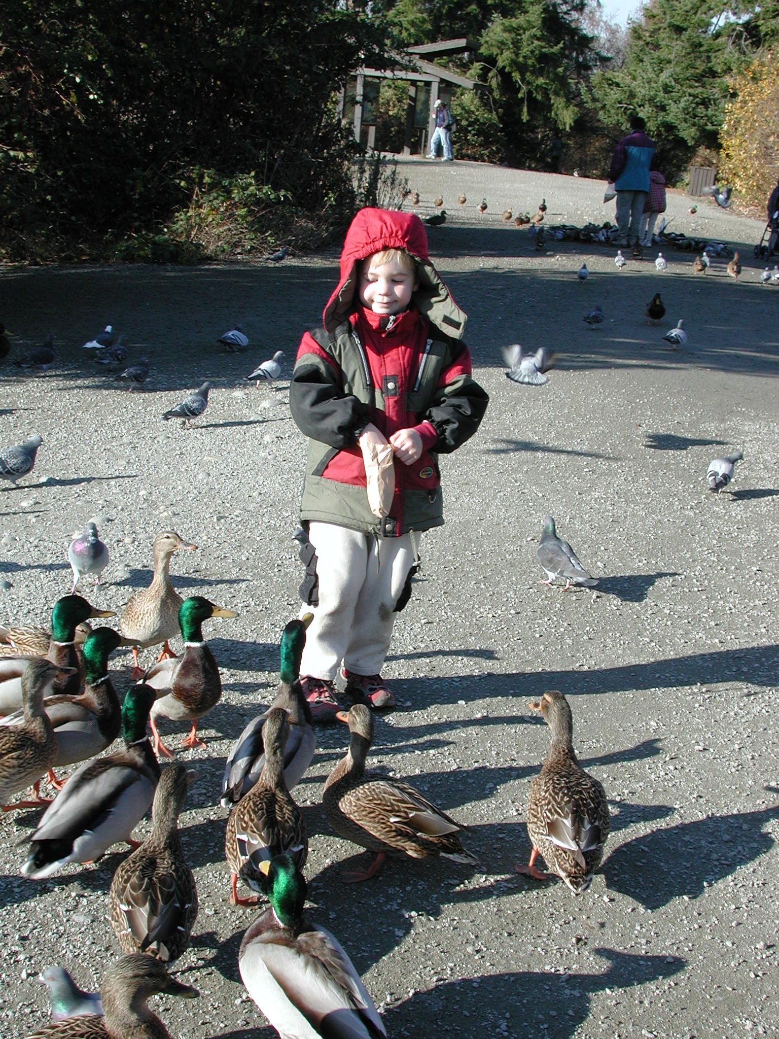 DSCN1055.JPG, 991836 bytes, 11/19/00