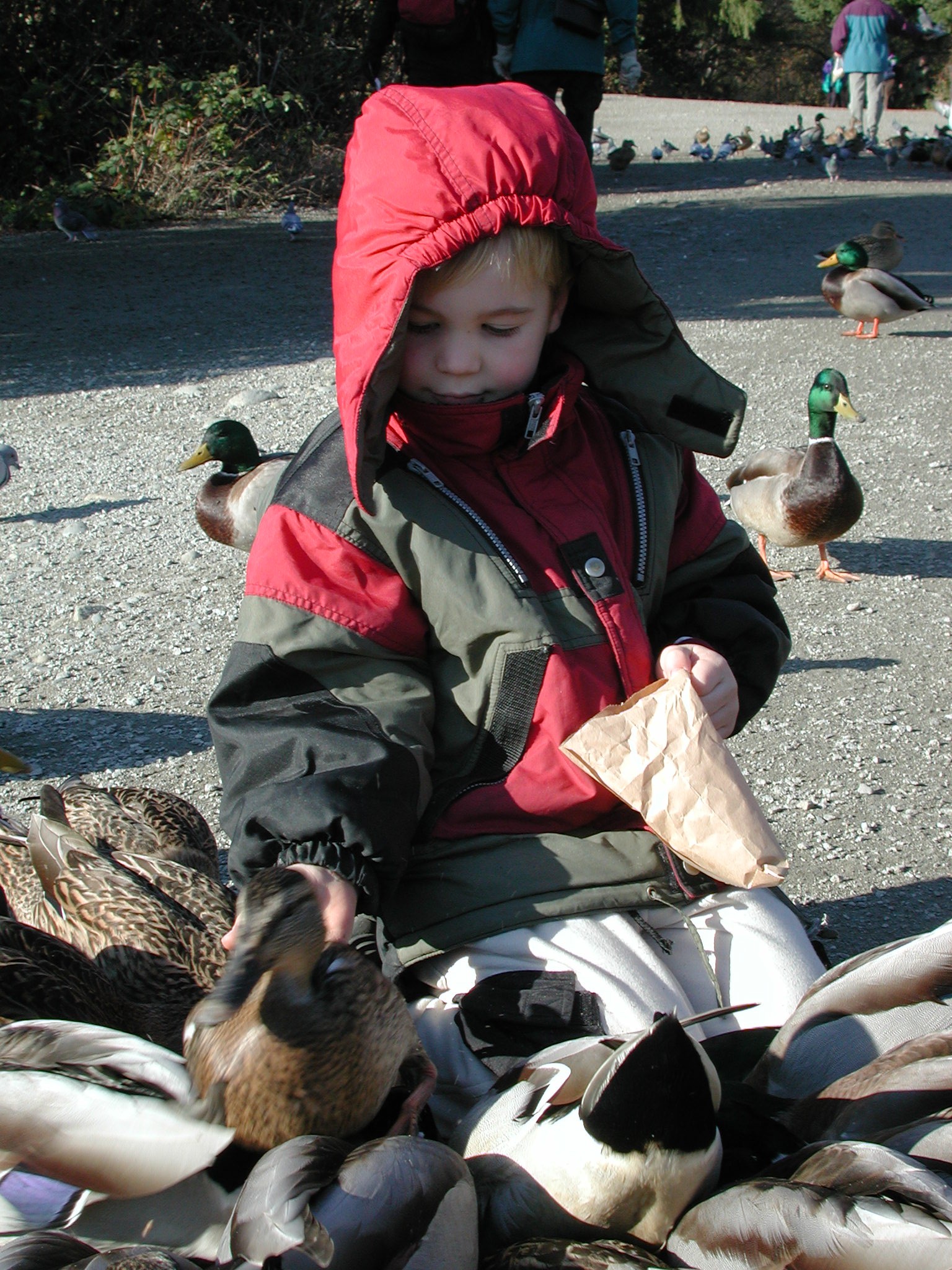 DSCN1058.JPG, 789673 bytes, 11/19/00