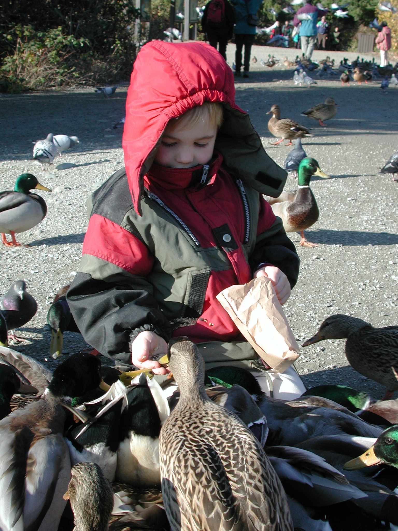 DSCN1059.JPG, 773046 bytes, 11/19/00