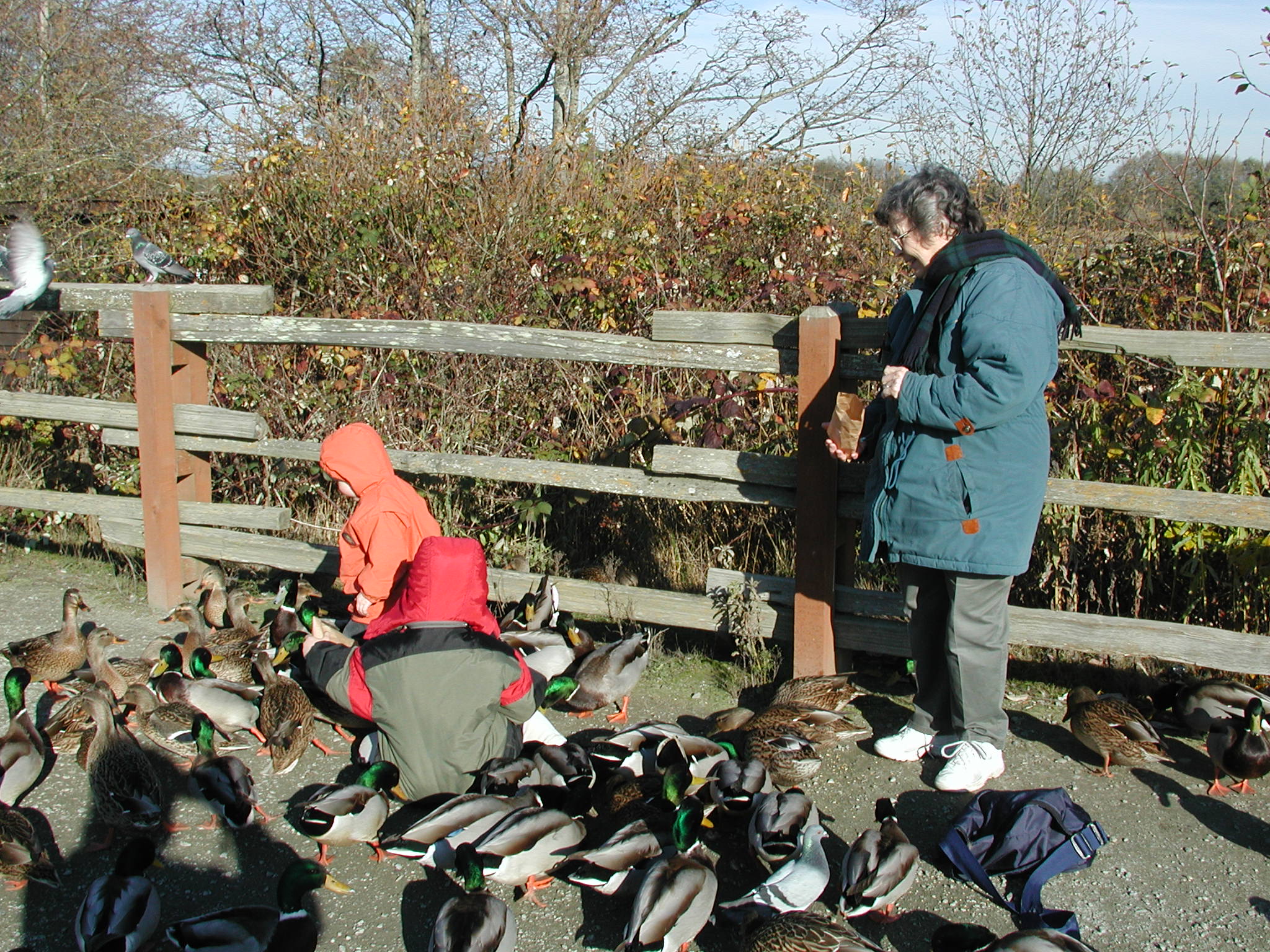 DSCN1066.JPG, 734522 bytes, 11/19/00