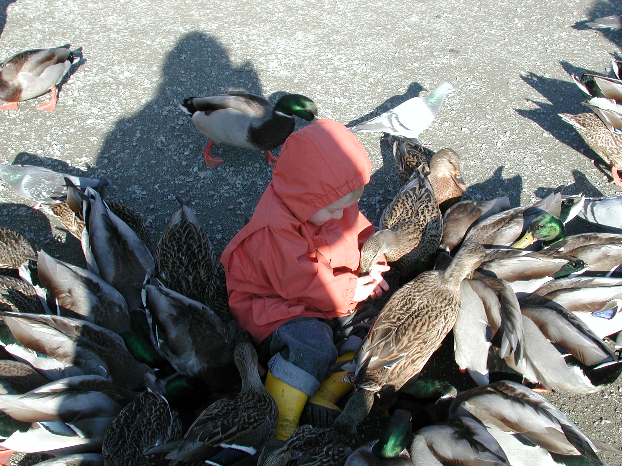 DSCN1067.JPG, 702746 bytes, 11/19/00