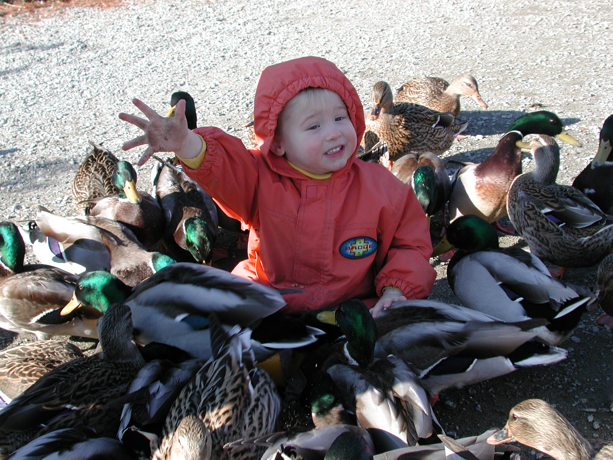 DSCN1069.JPG, 692315 bytes, 11/19/00