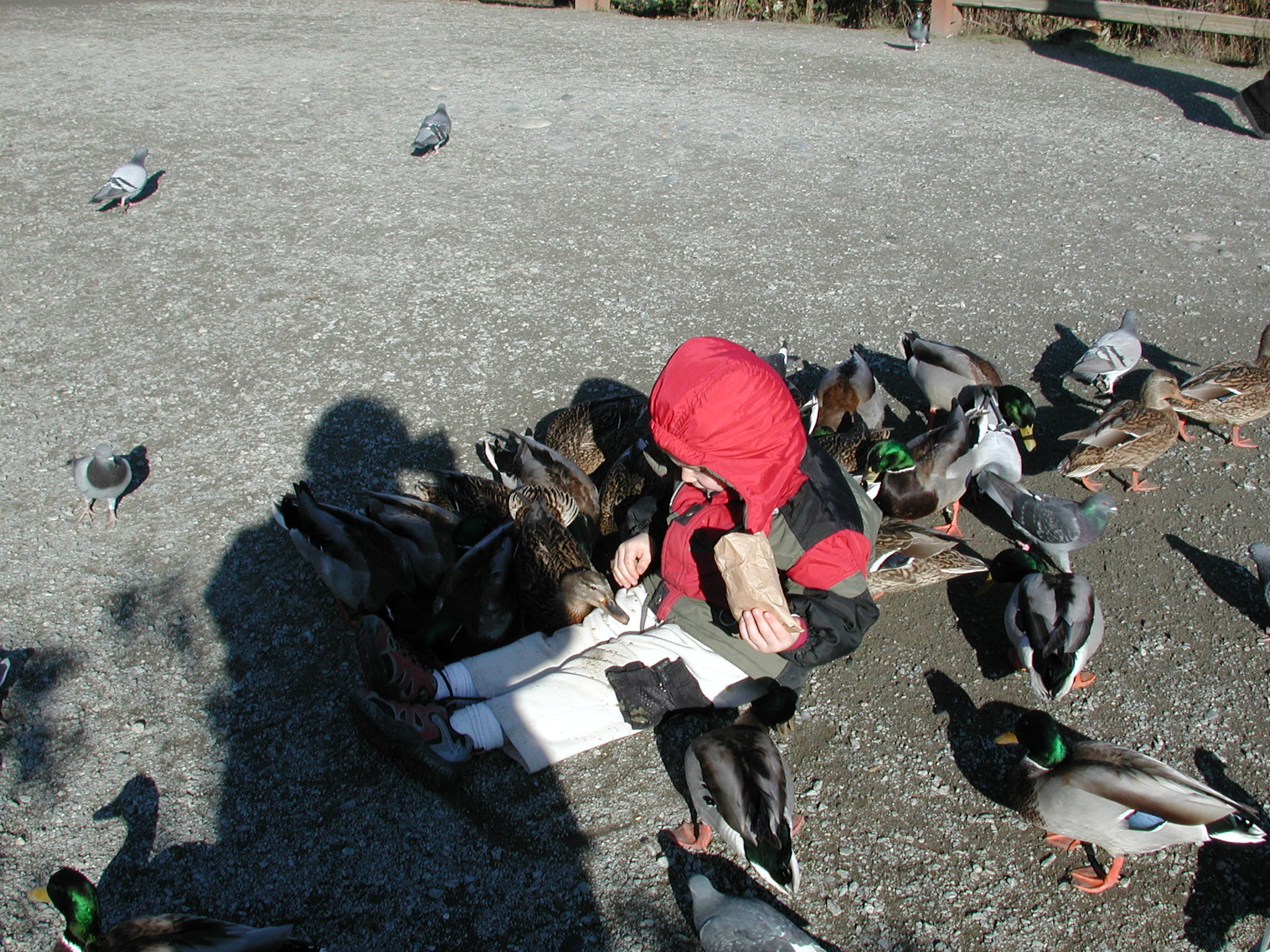 DSCN1074.JPG, 700405 bytes, 11/19/00