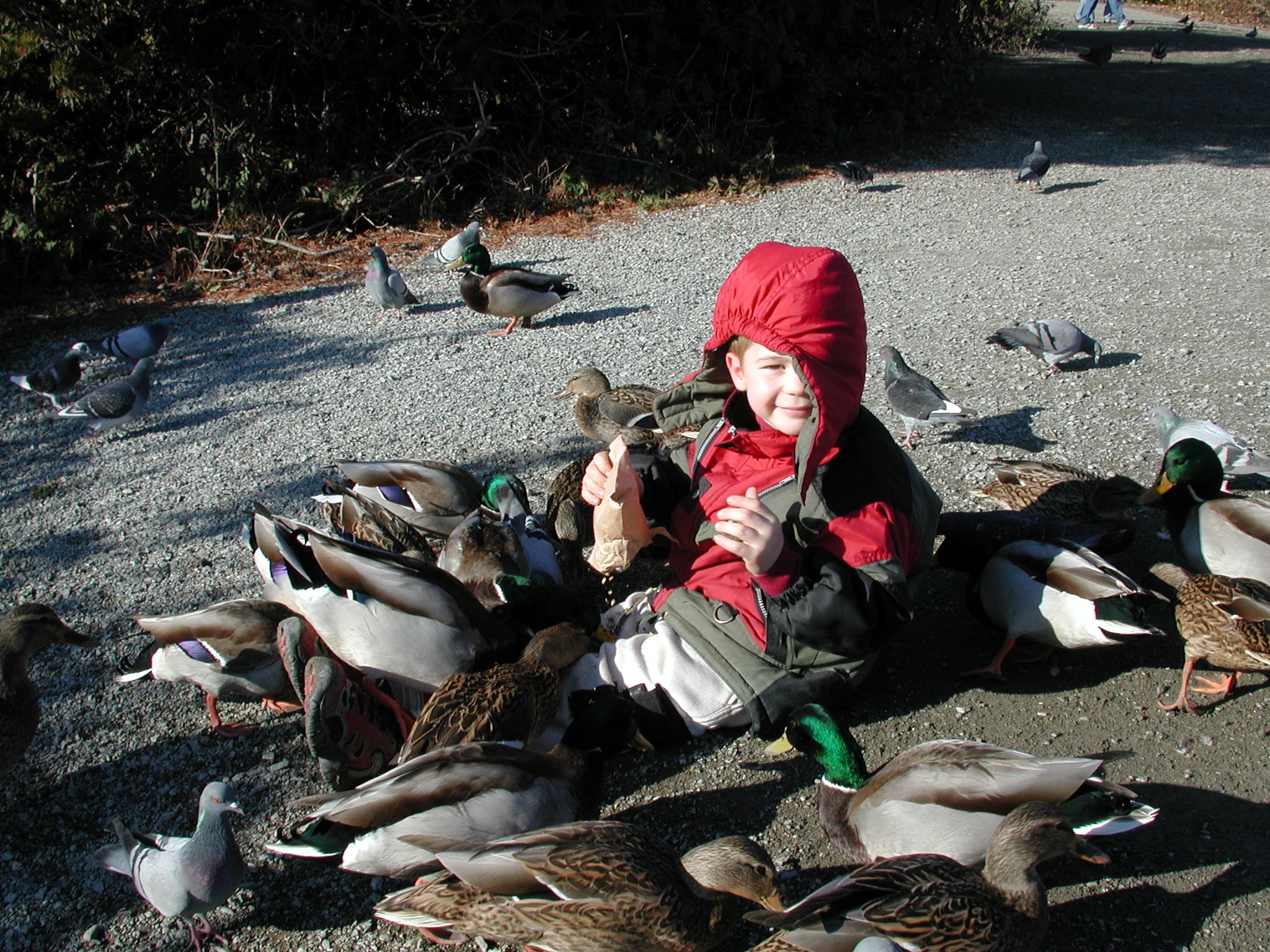 DSCN1076.JPG, 703127 bytes, 11/19/00