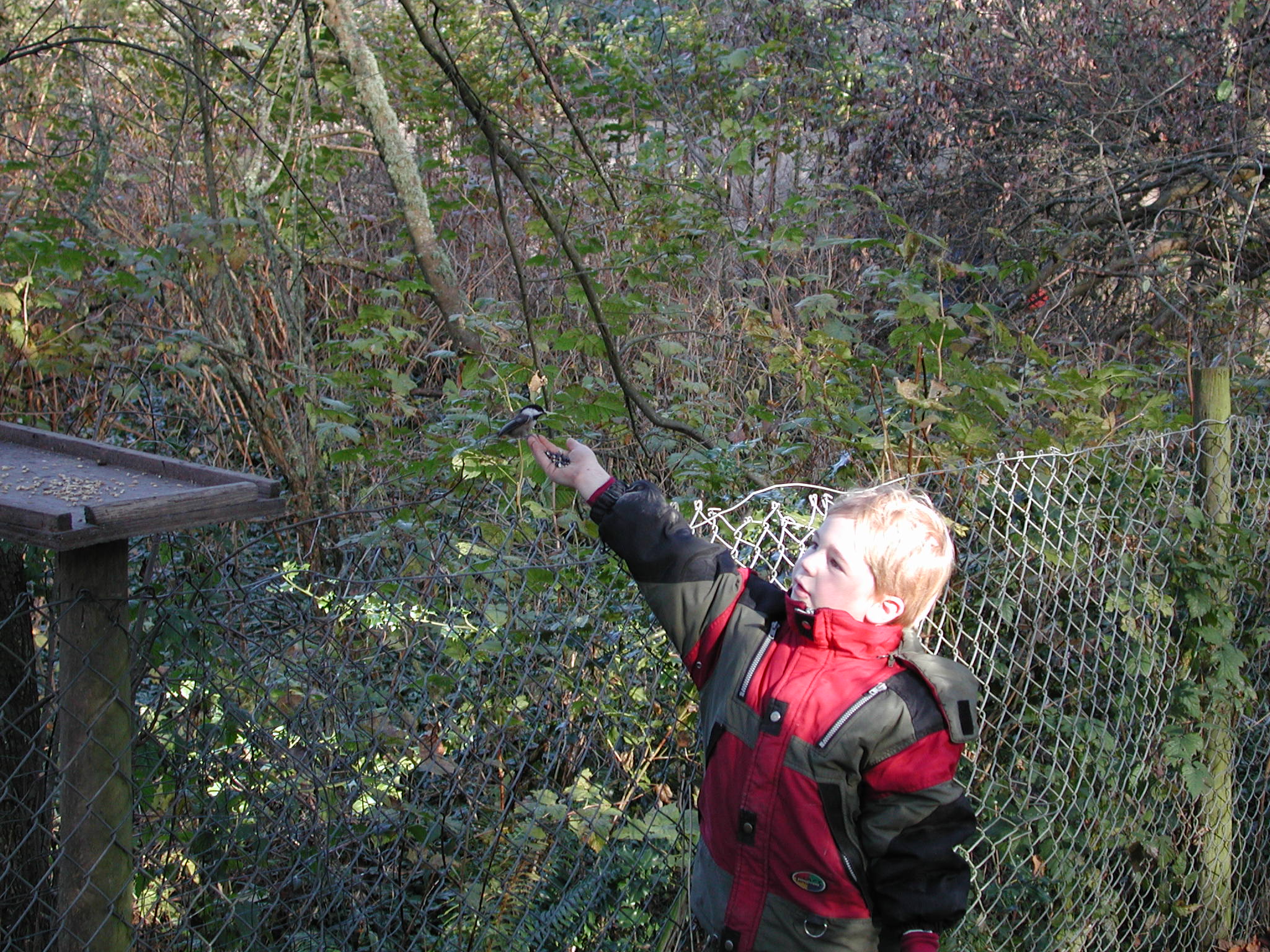 DSCN1077.JPG, 740597 bytes, 11/19/00