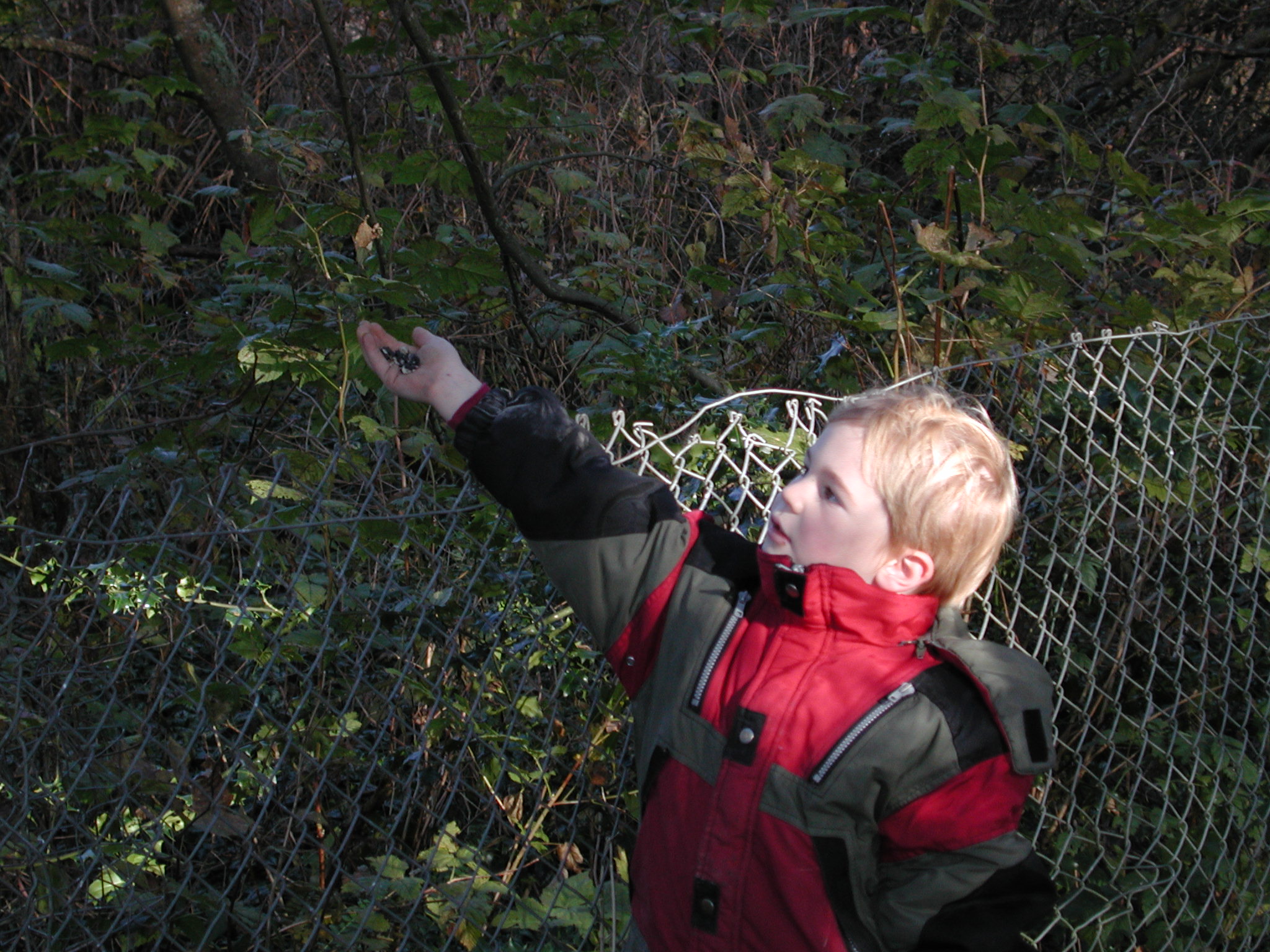 DSCN1078.JPG, 691388 bytes, 11/19/00